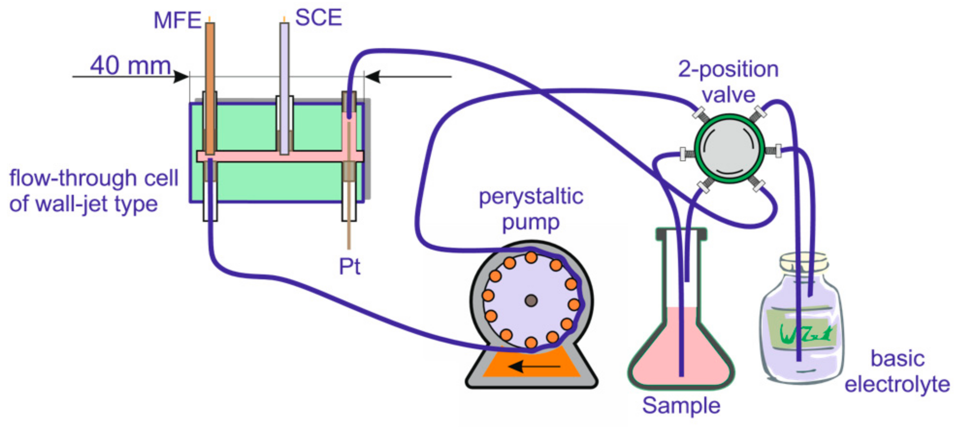 Molecules 28 08055 g001