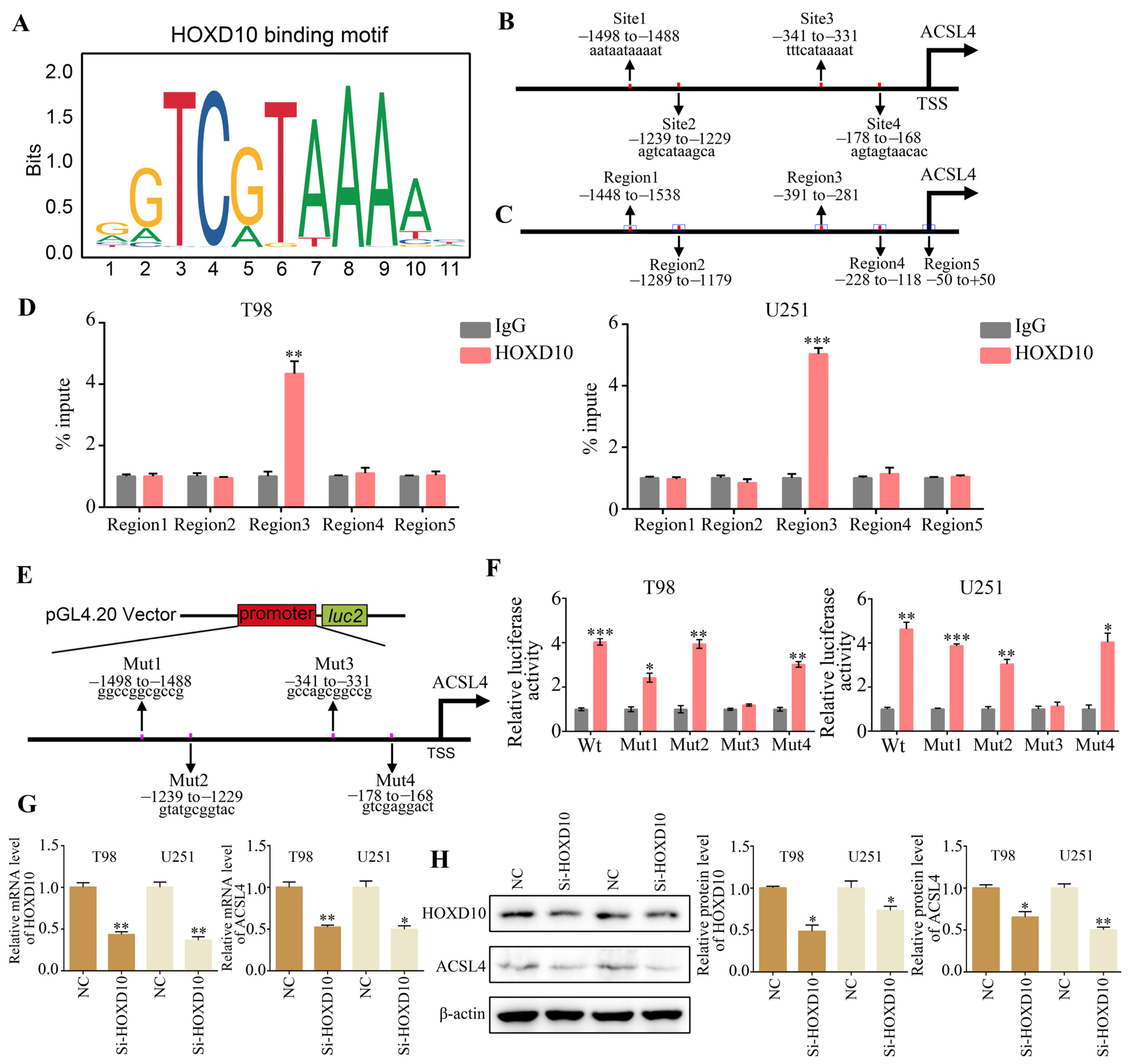 Molecules 28 08062 g004