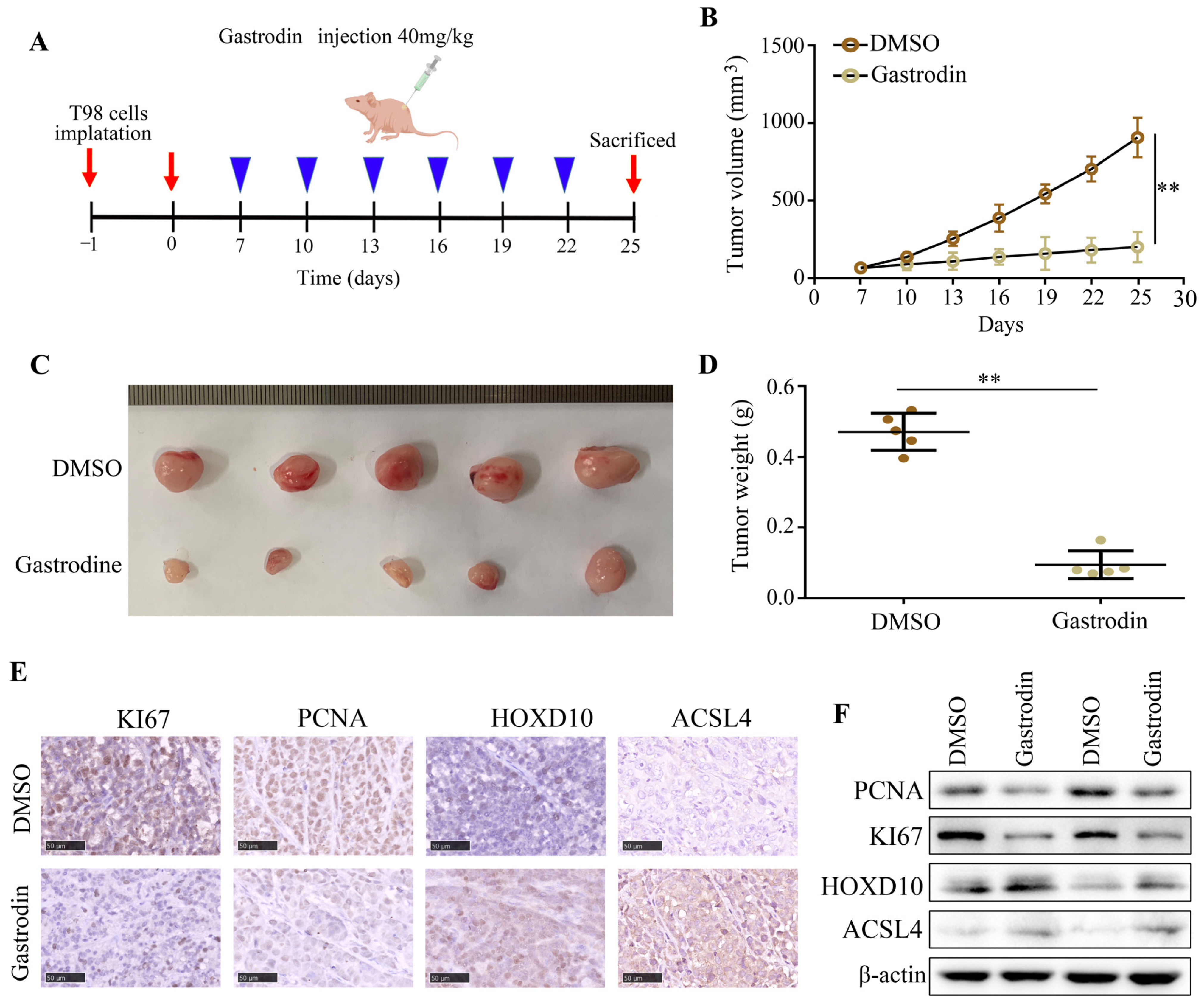 Molecules 28 08062 g007