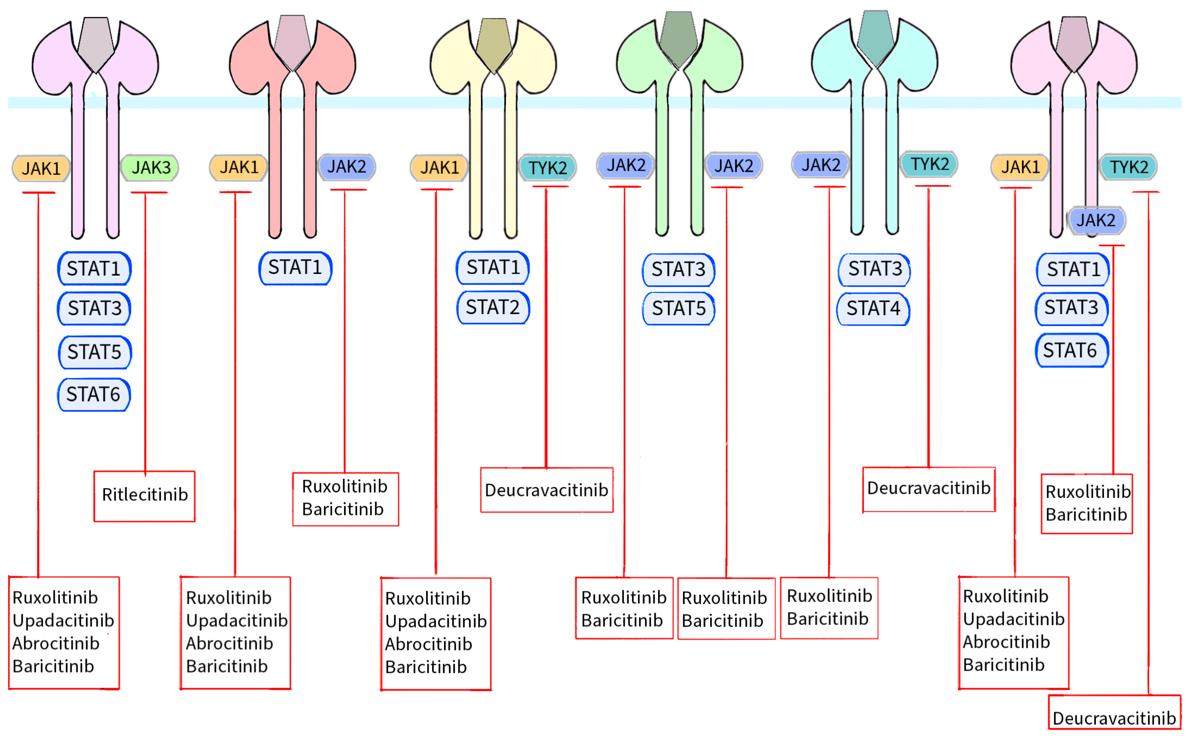 Molecules 28 08064 g003