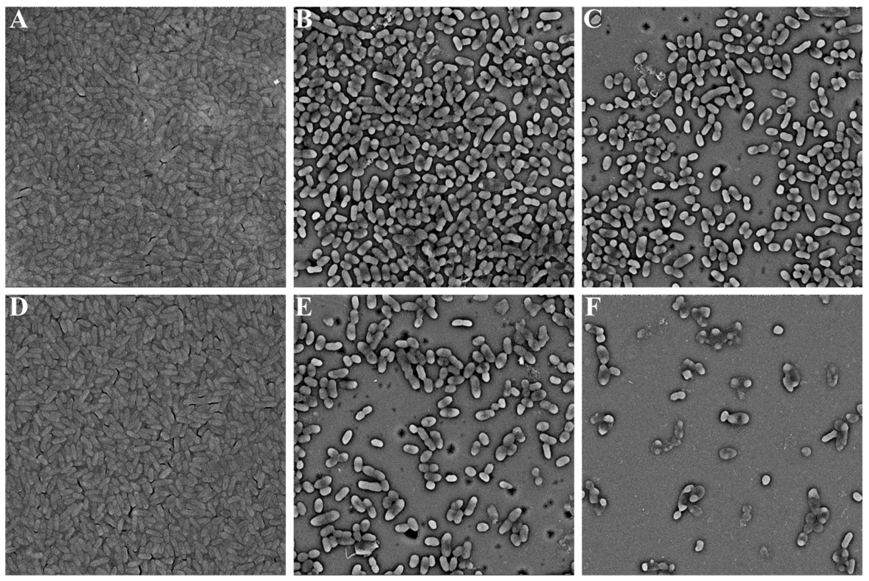 Molecules 28 08067 g004