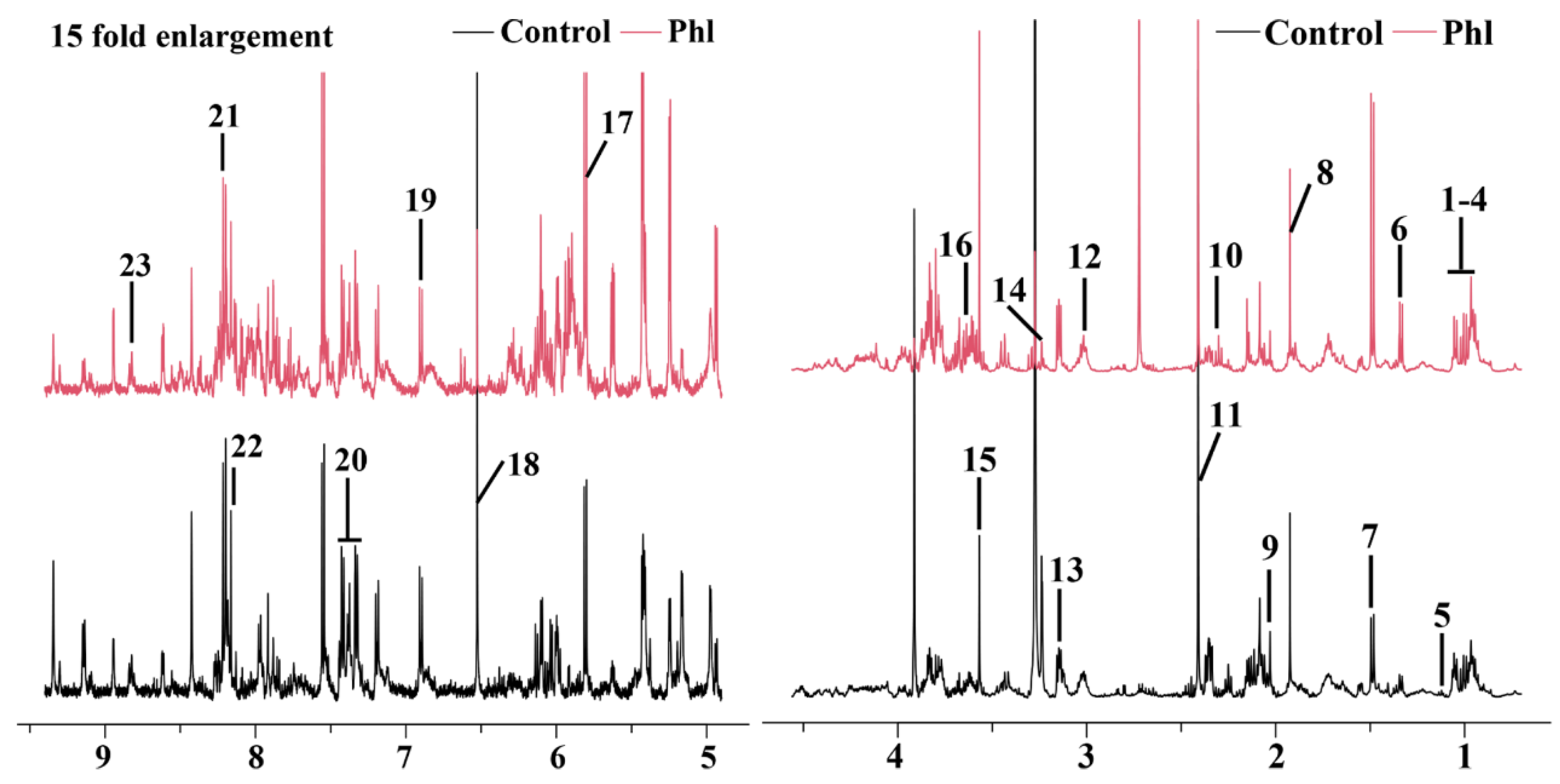 Molecules 28 08067 g006