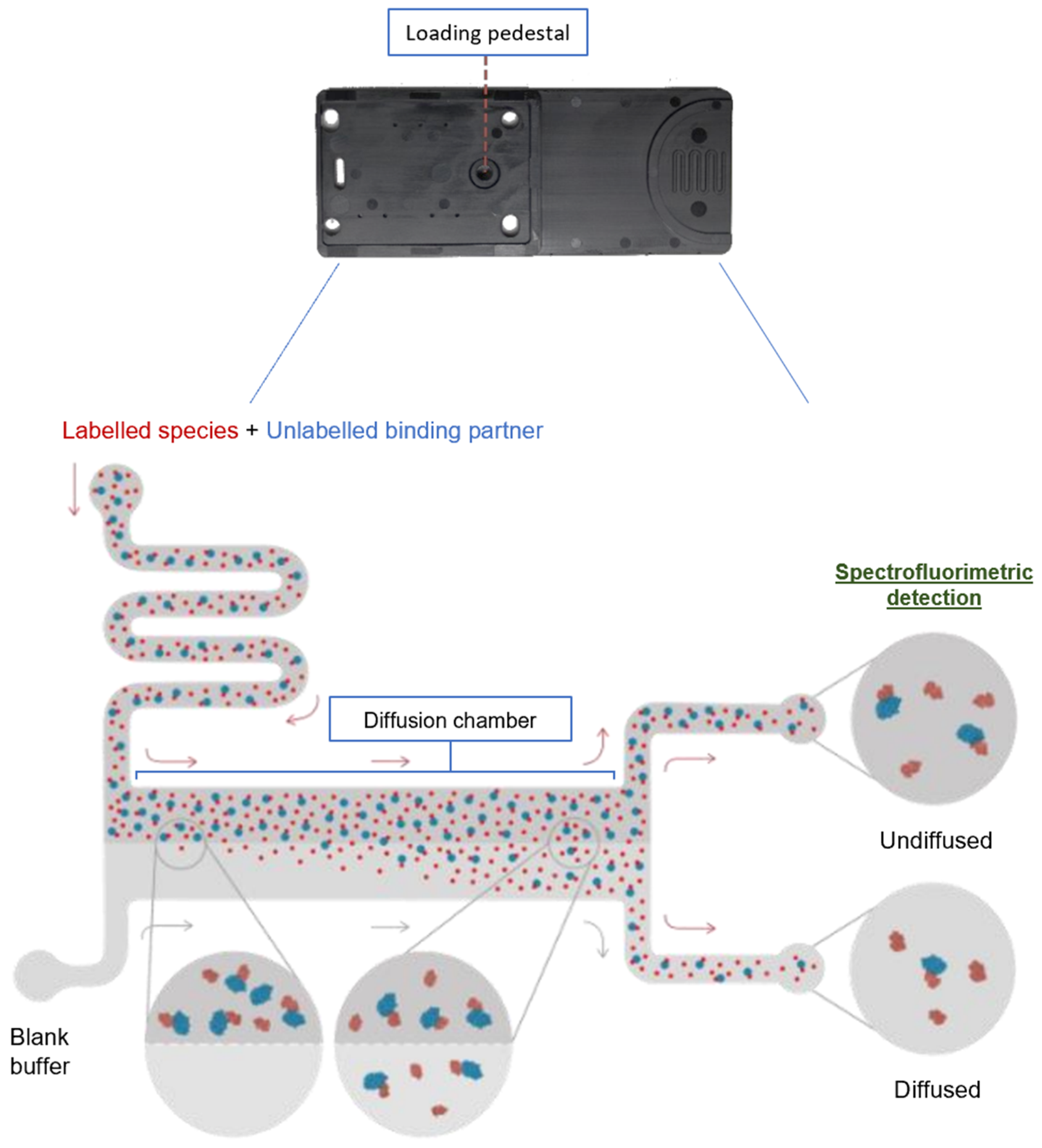 Molecules 28 08072 g005 Molecules 28 08072 g005