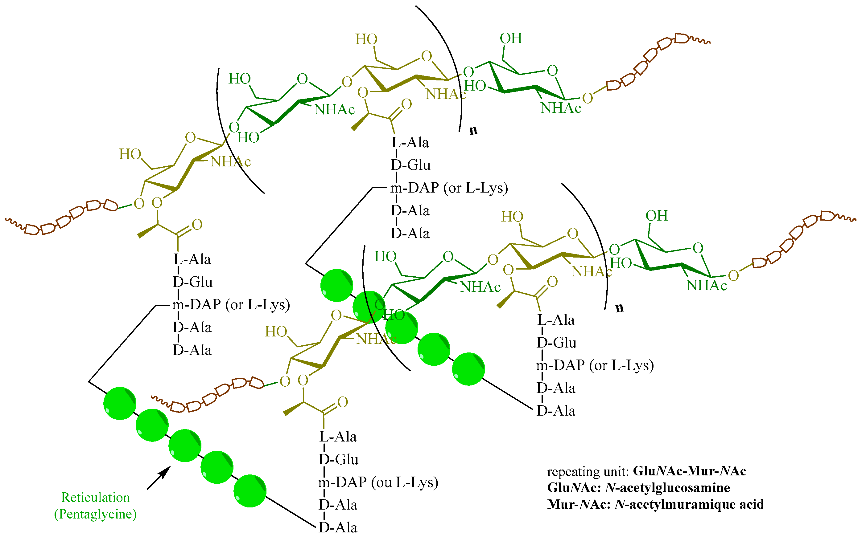 Molecules 28 08076 g004 Molecules 28 08076 g004