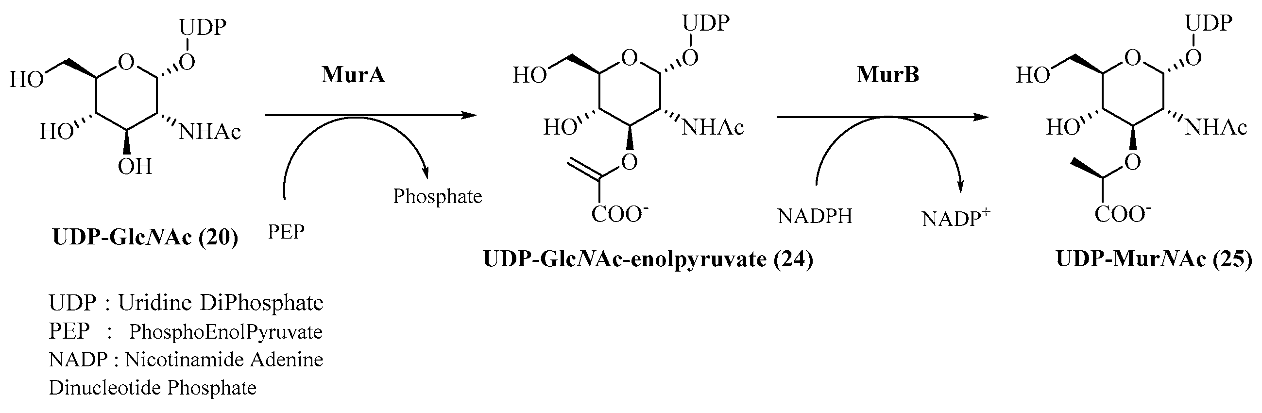 Molecules 28 08076 g005 Molecules 28 08076 g005