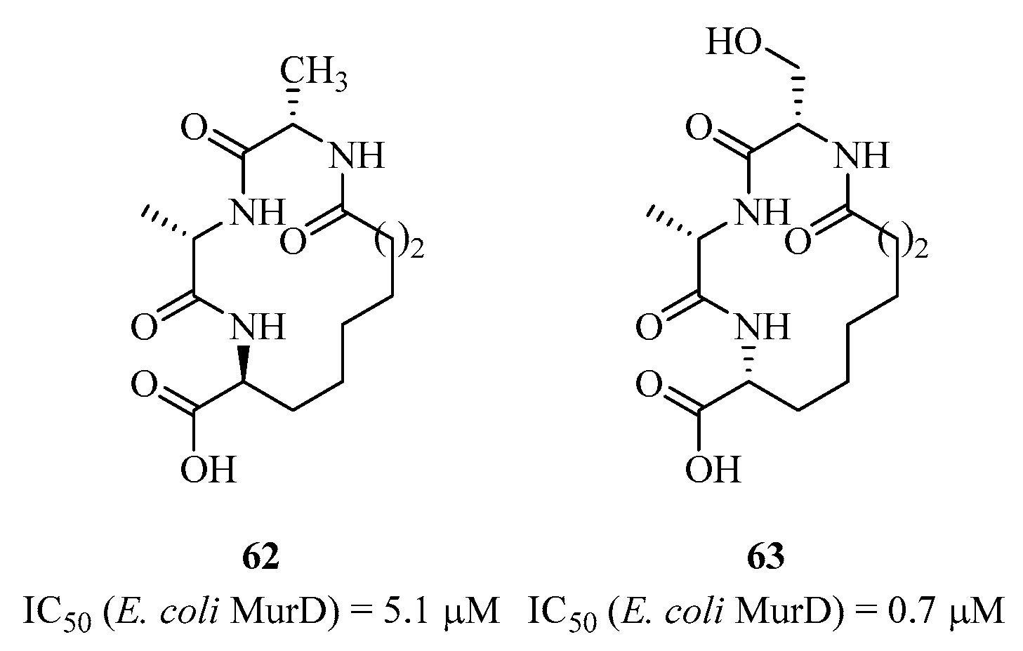 Molecules 28 08076 g015 Molecules 28 08076 g015
