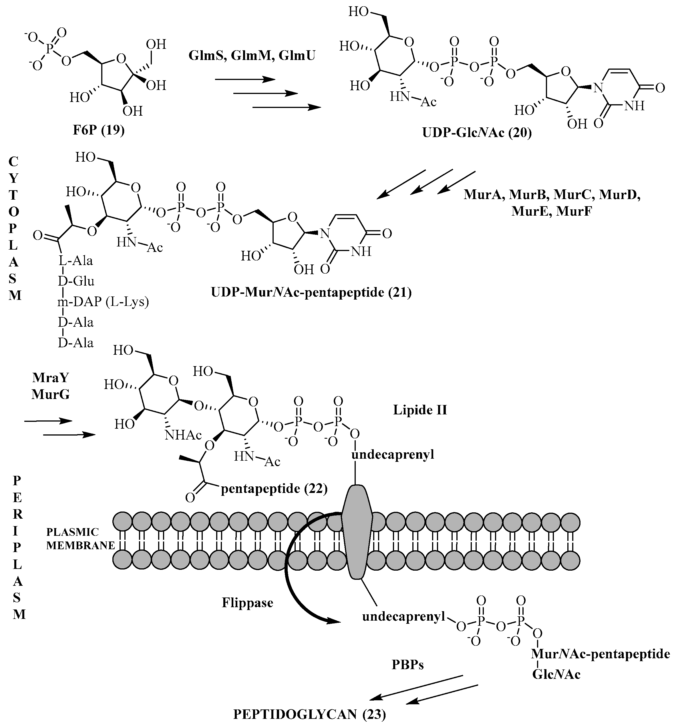 Molecules 28 08076 sch002 Molecules 28 08076 sch002