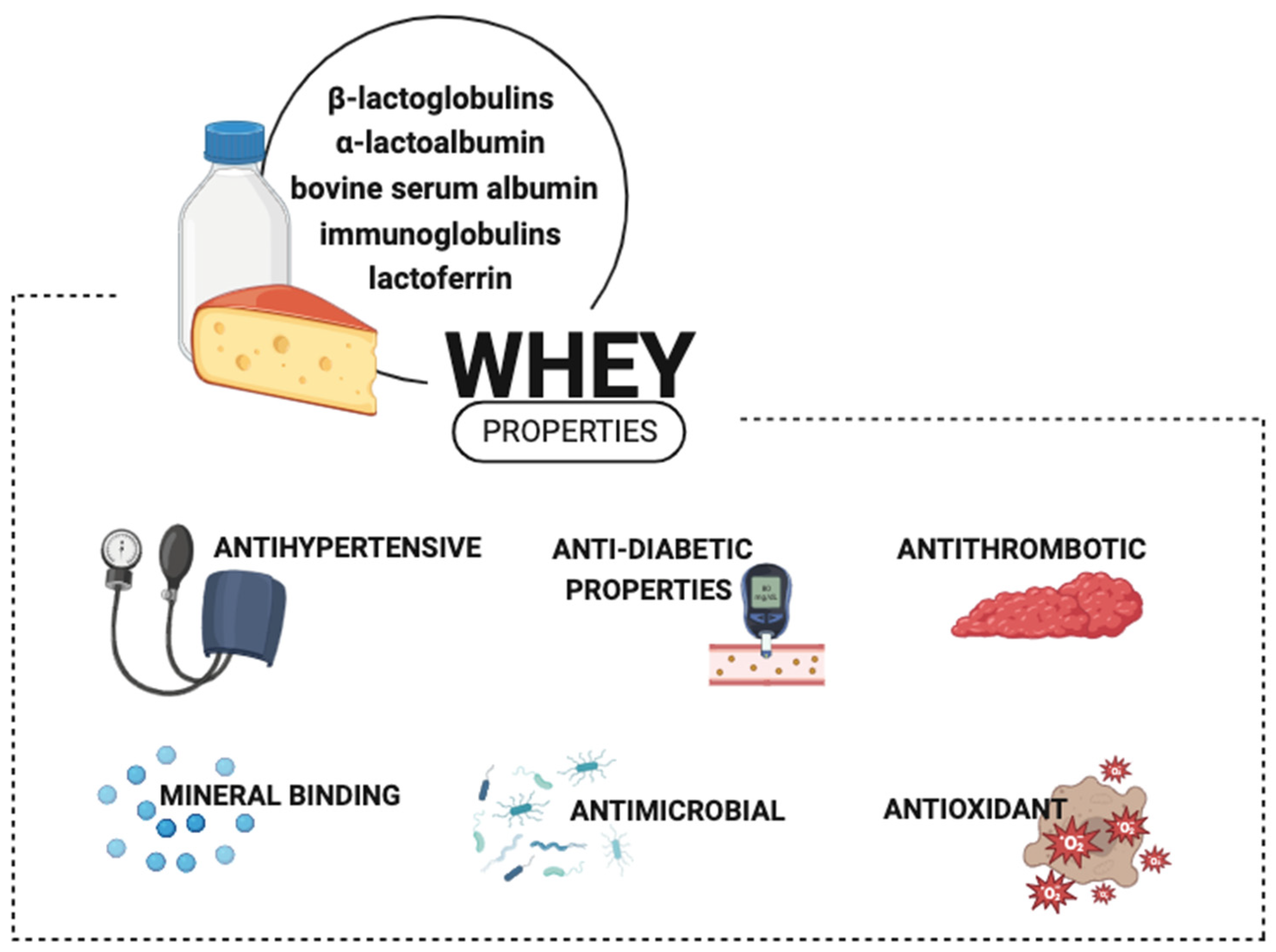 Molecules 28 08081 g001