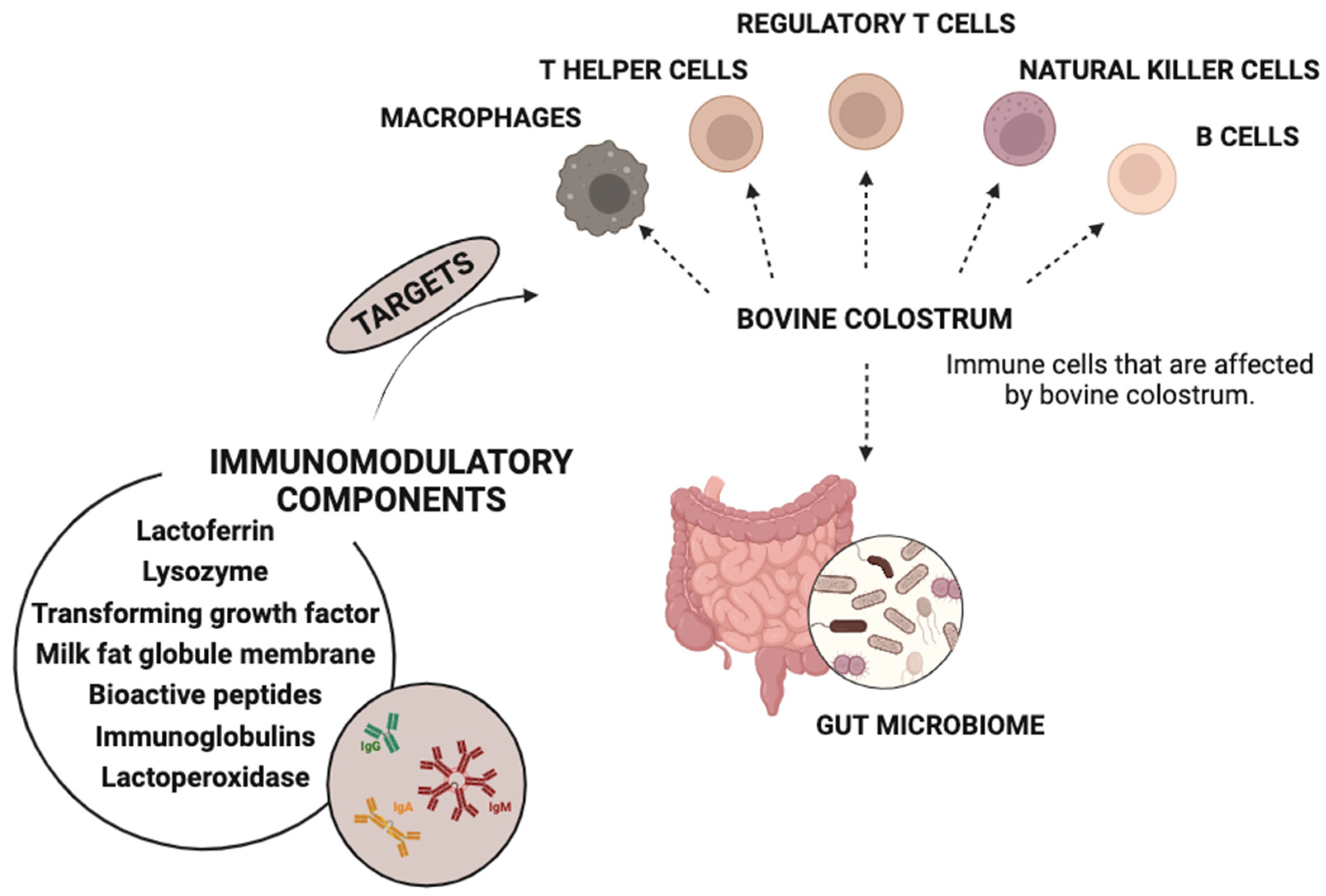 Molecules 28 08081 g002