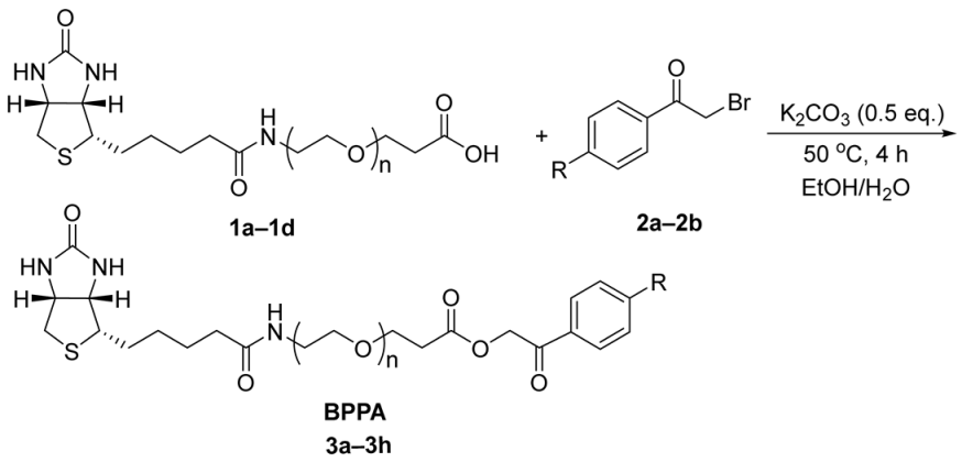 Molecules 28 08083 i001