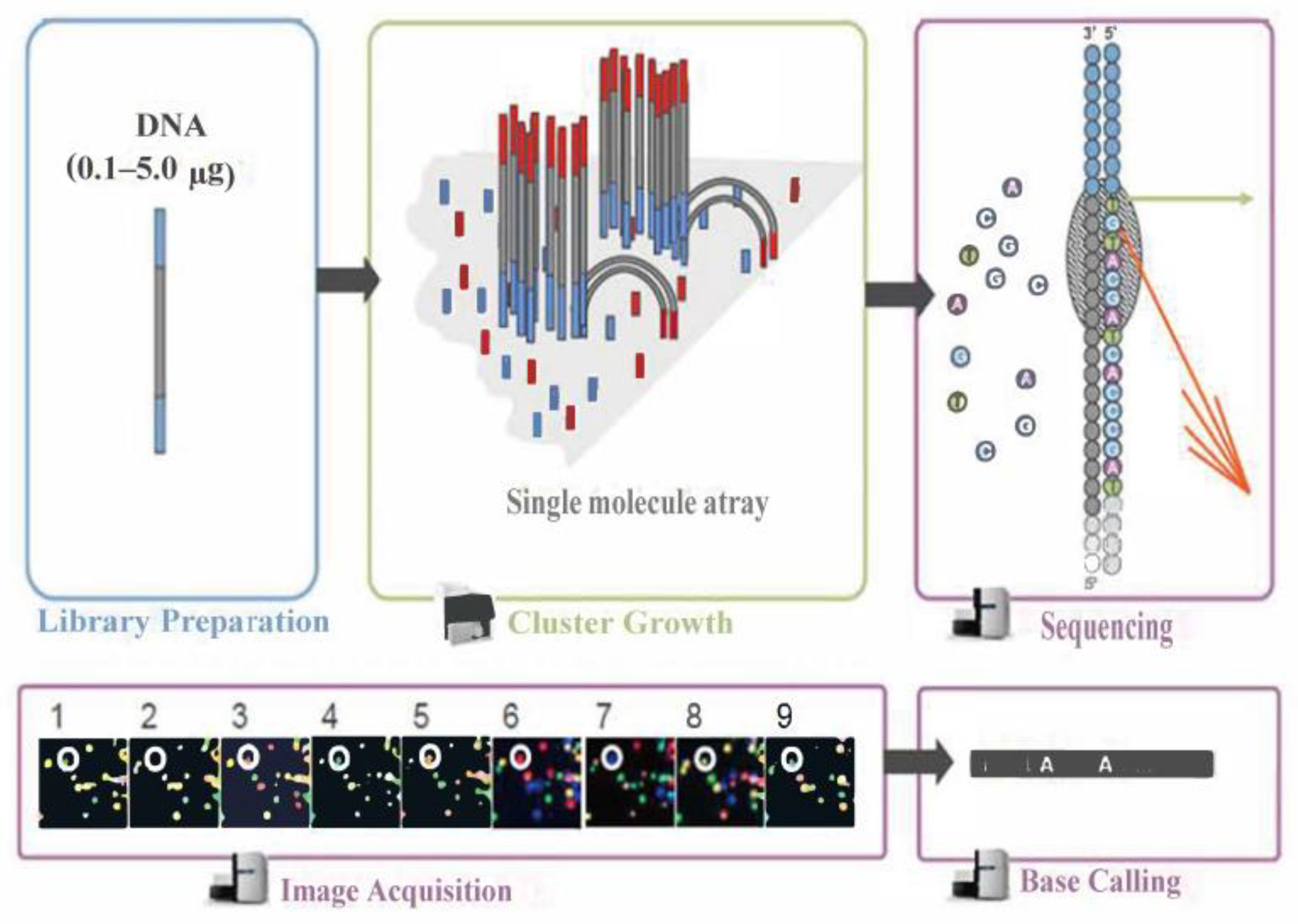 Molecules 28 08088 g007
