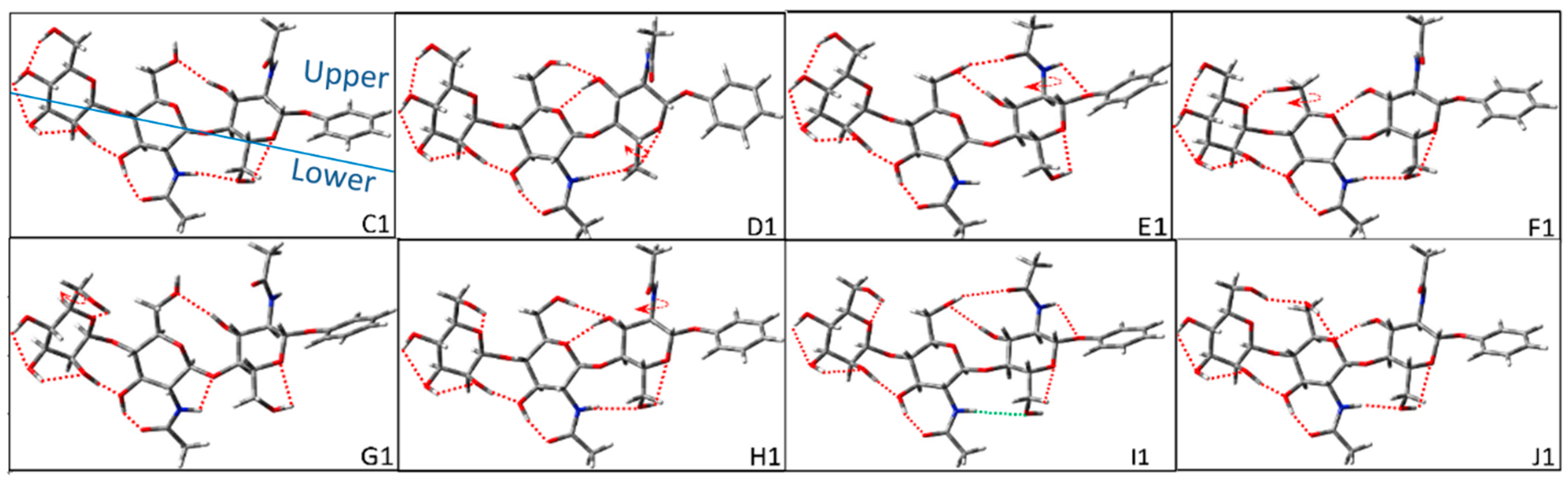 Molecules 28 08093 g004