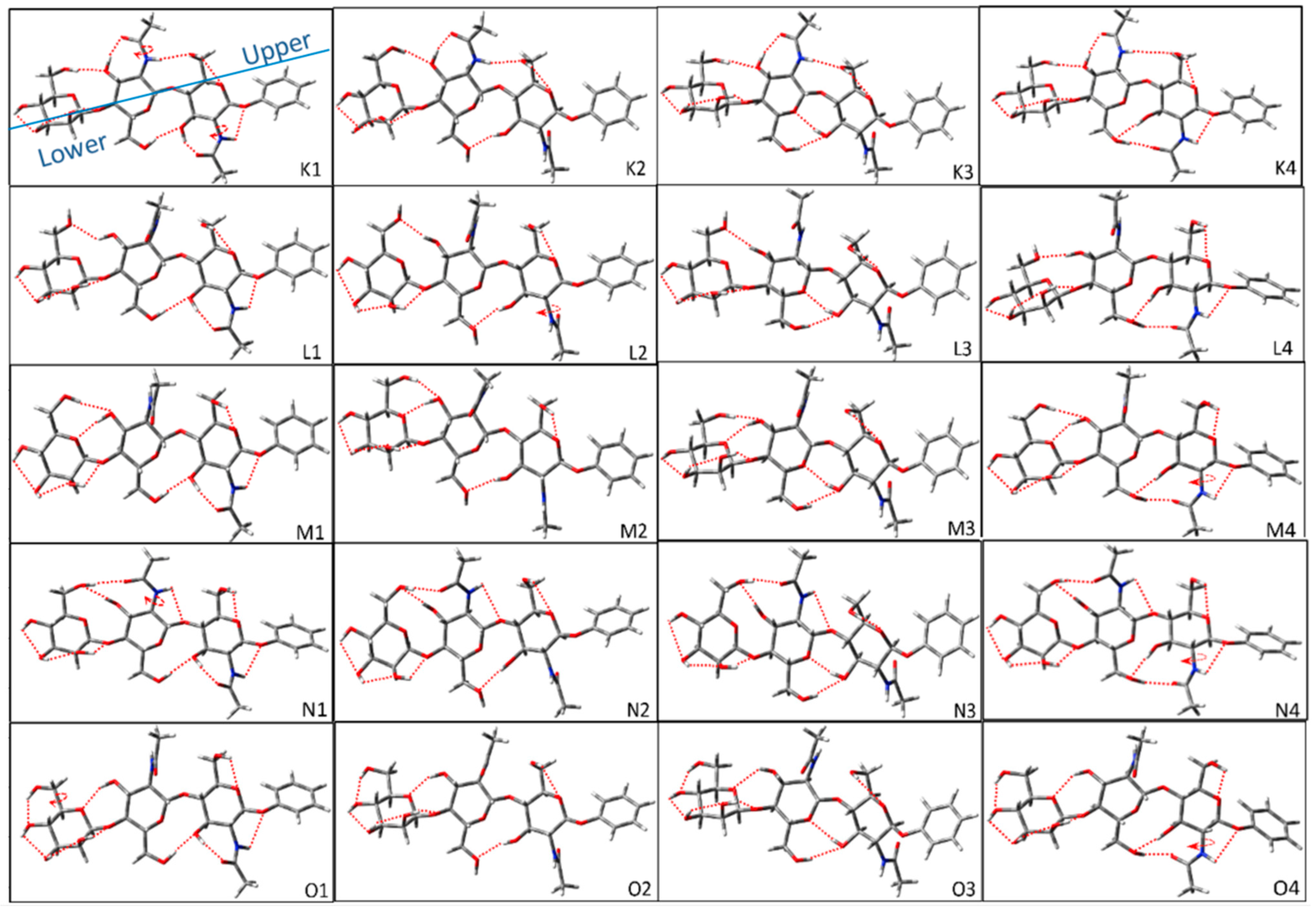 Molecules 28 08093 g005