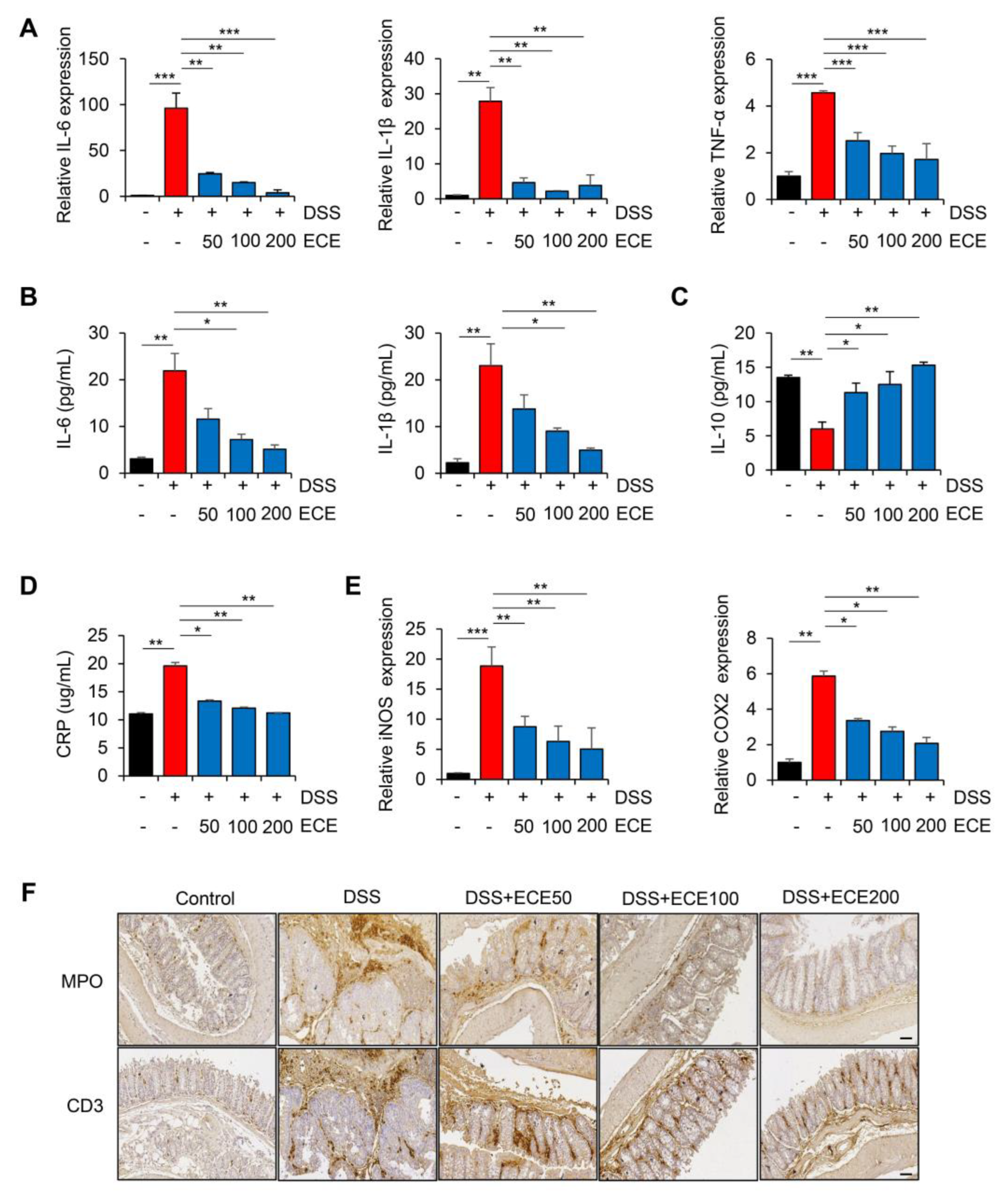 Molecules 28 08099 g002
