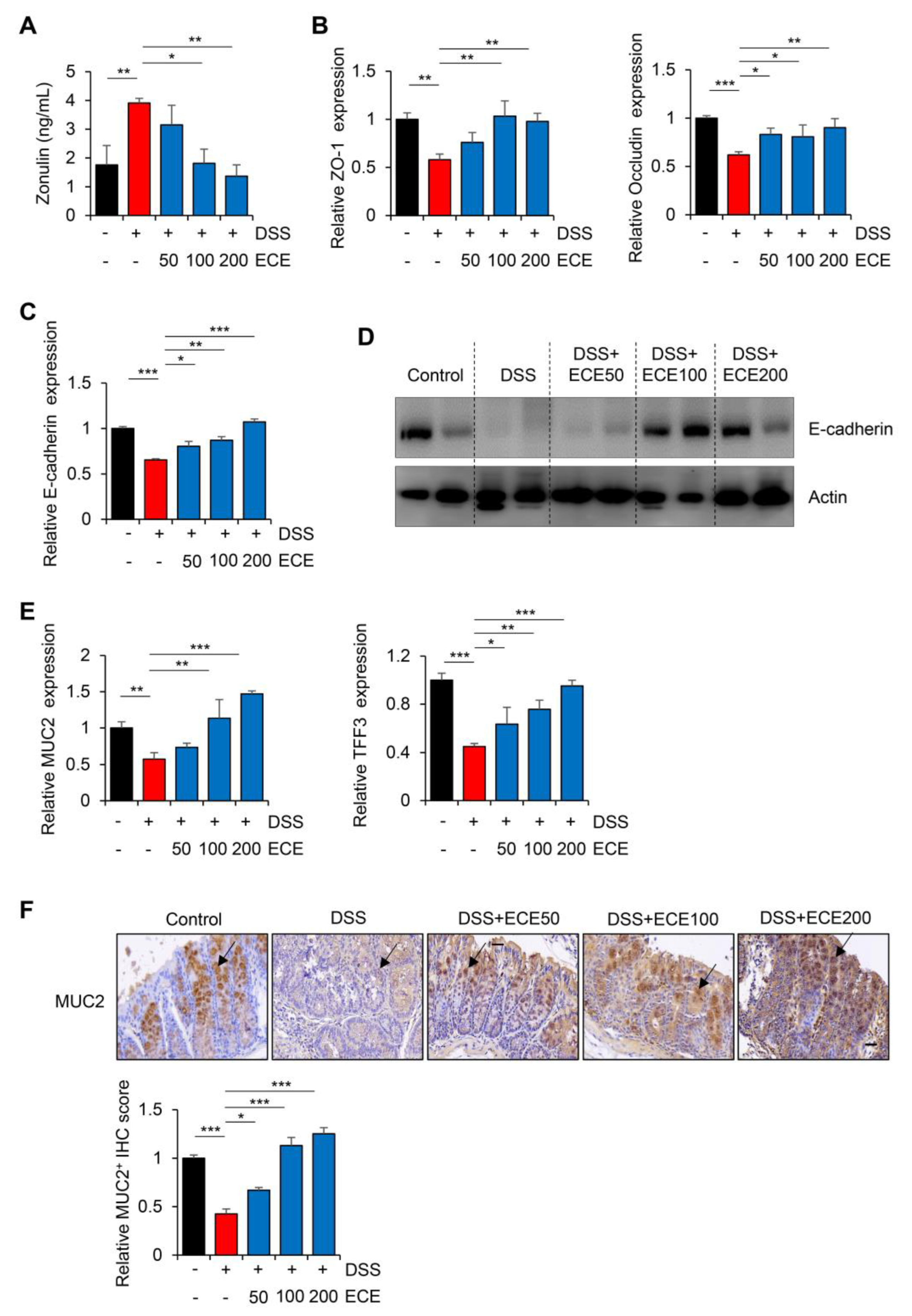 Molecules 28 08099 g004