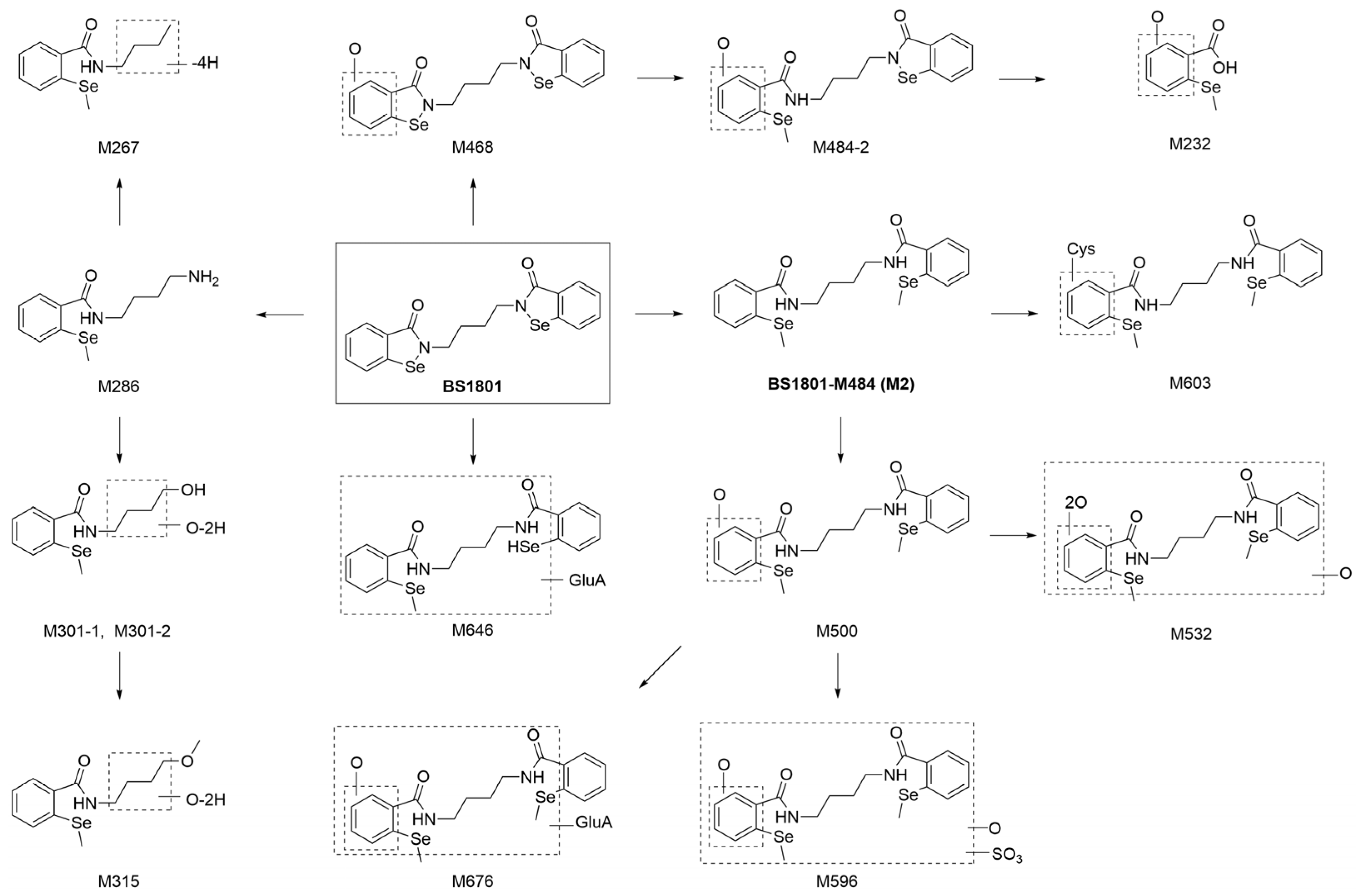 Molecules 28 08102 g008