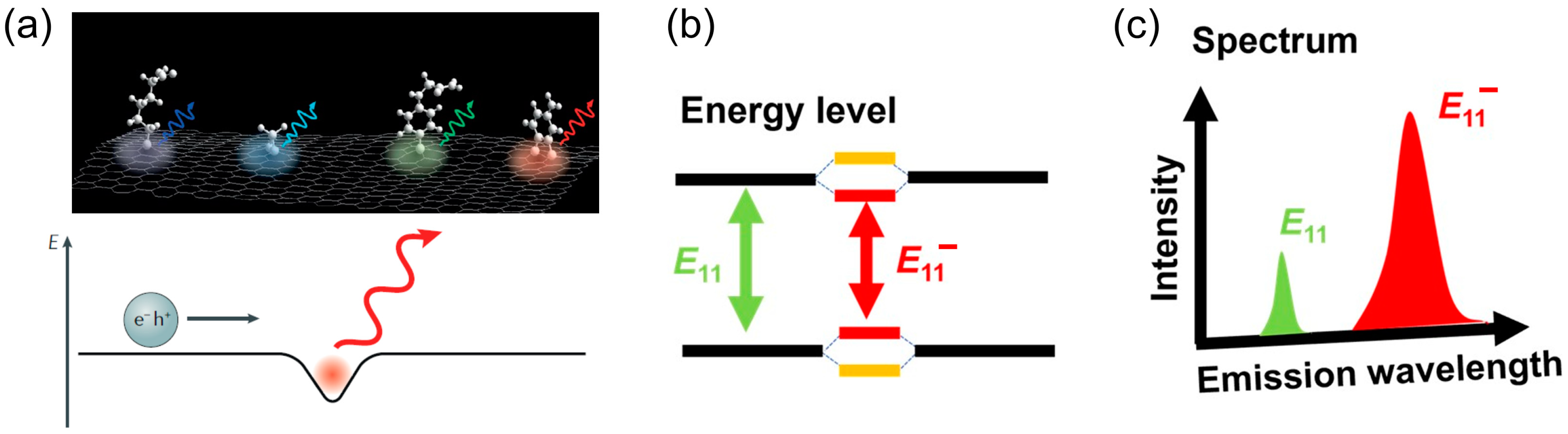 Molecules 28 08104 g001 Molecules 28 08104 g001