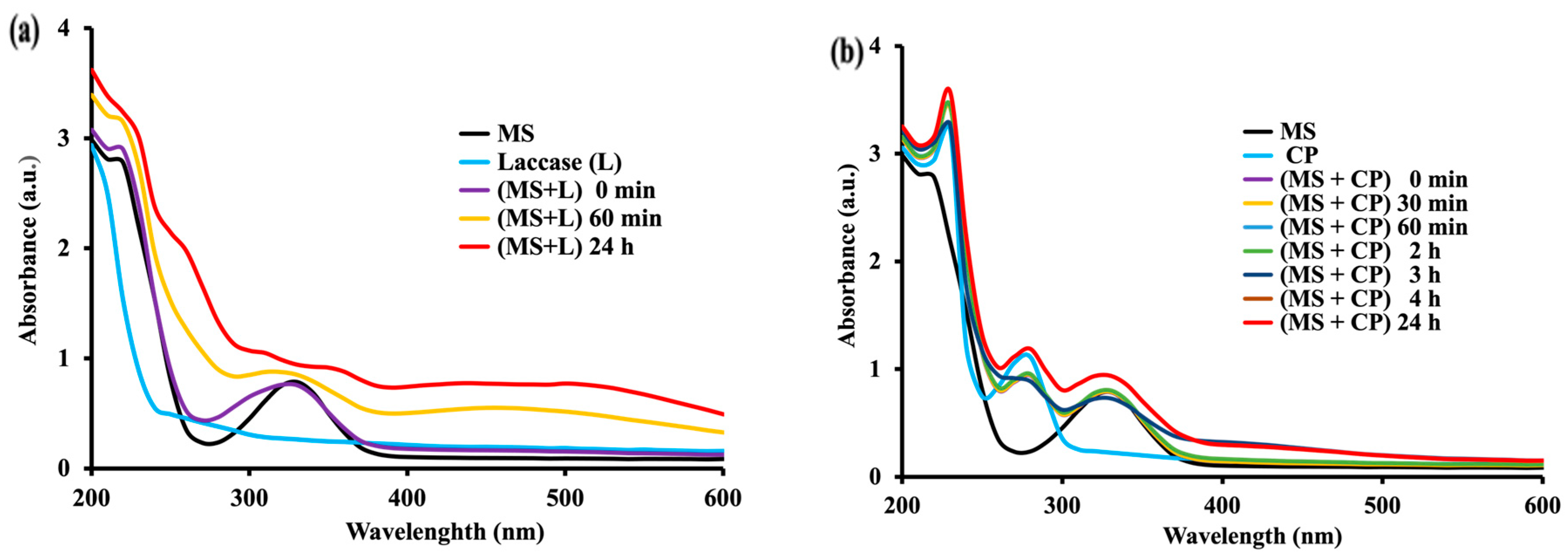 Molecules 28 08105 g002
