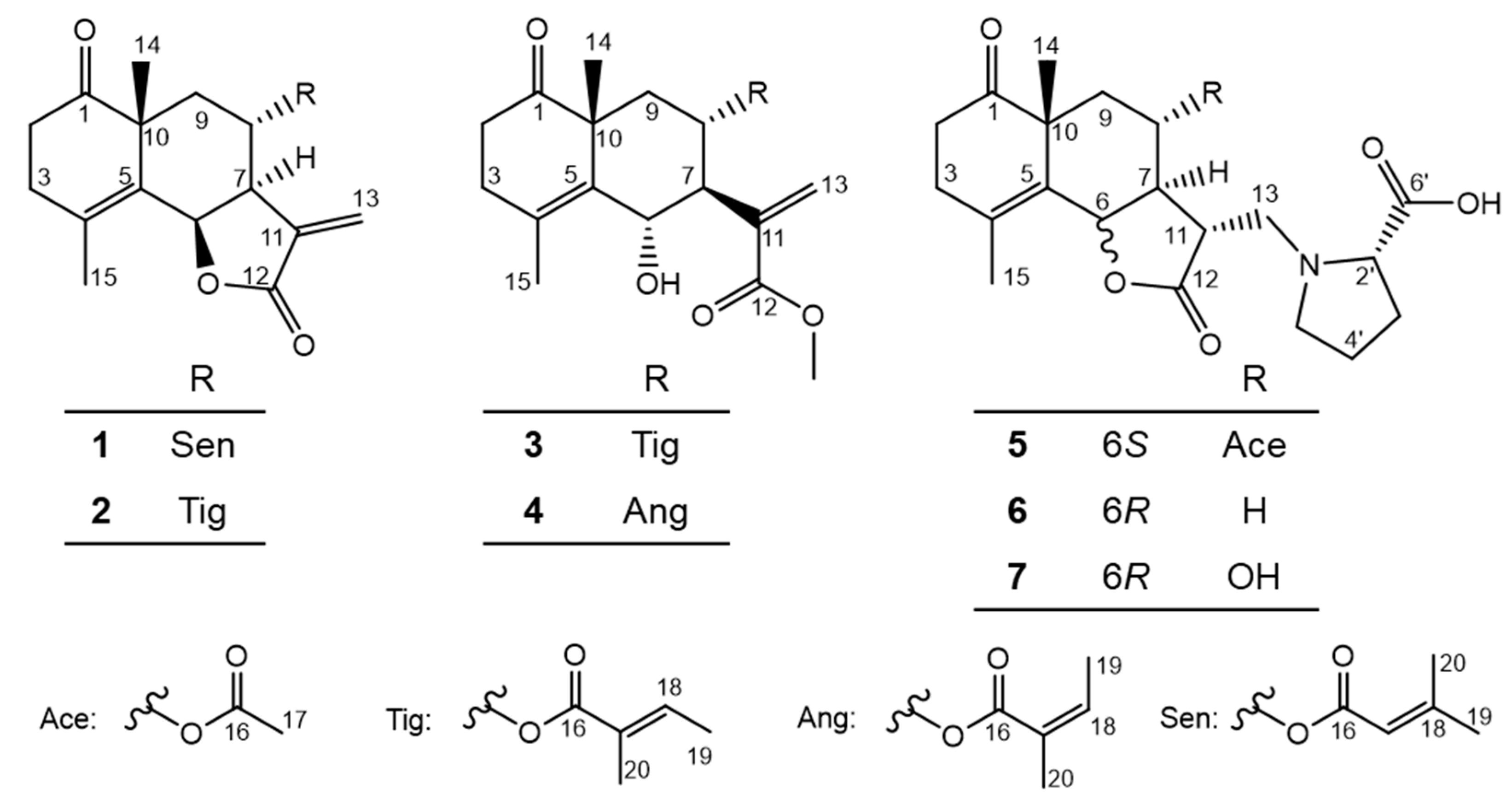 Molecules 28 08108 g001