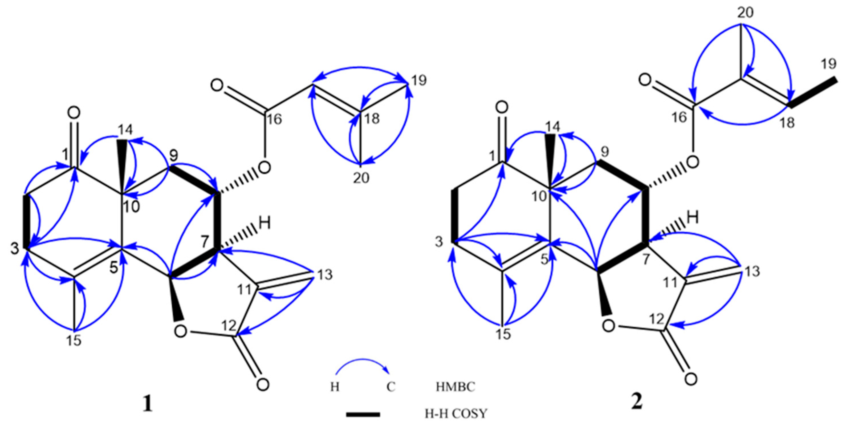 Molecules 28 08108 g002