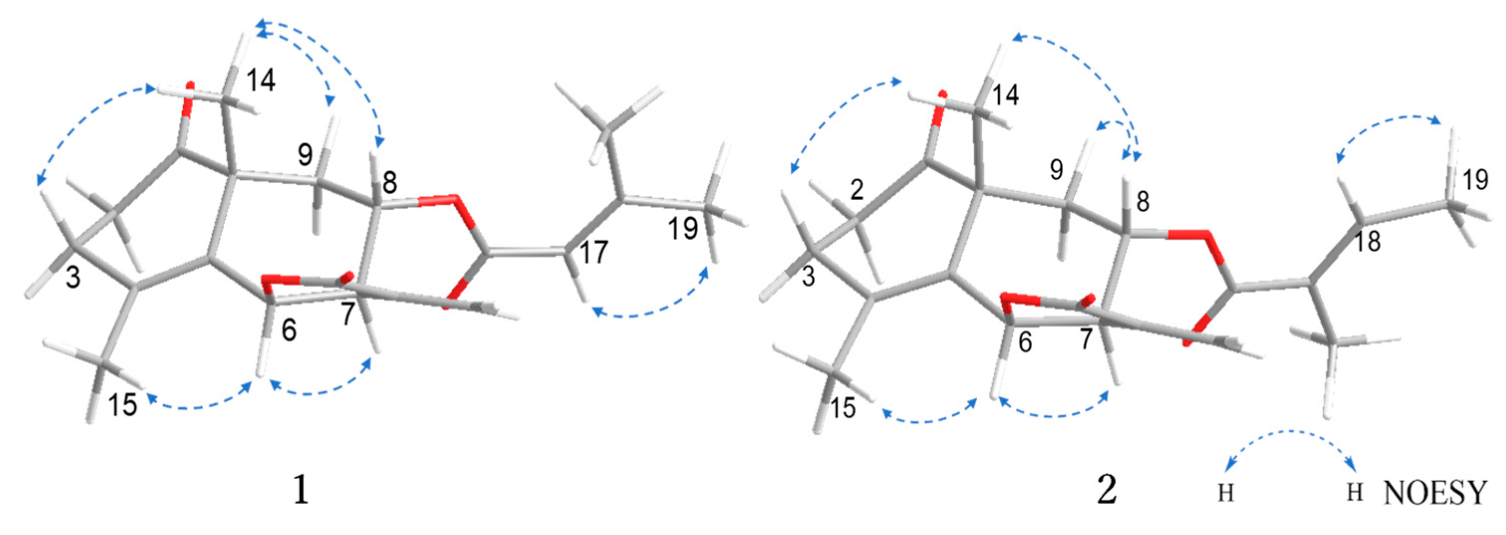 Molecules 28 08108 g003