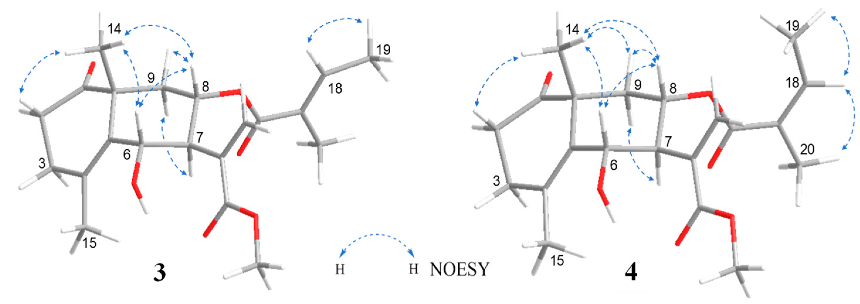 Molecules 28 08108 g006