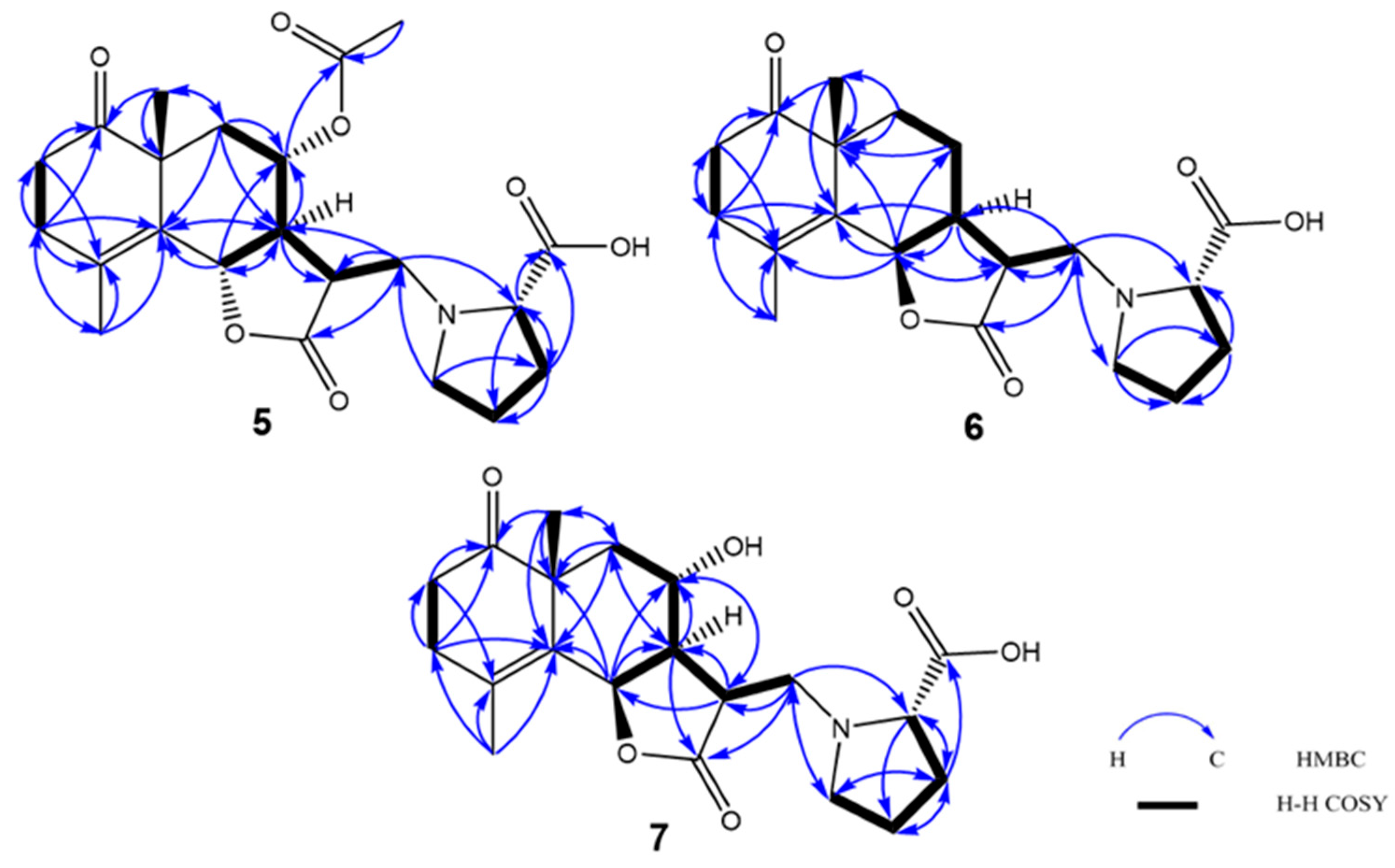 Molecules 28 08108 g008