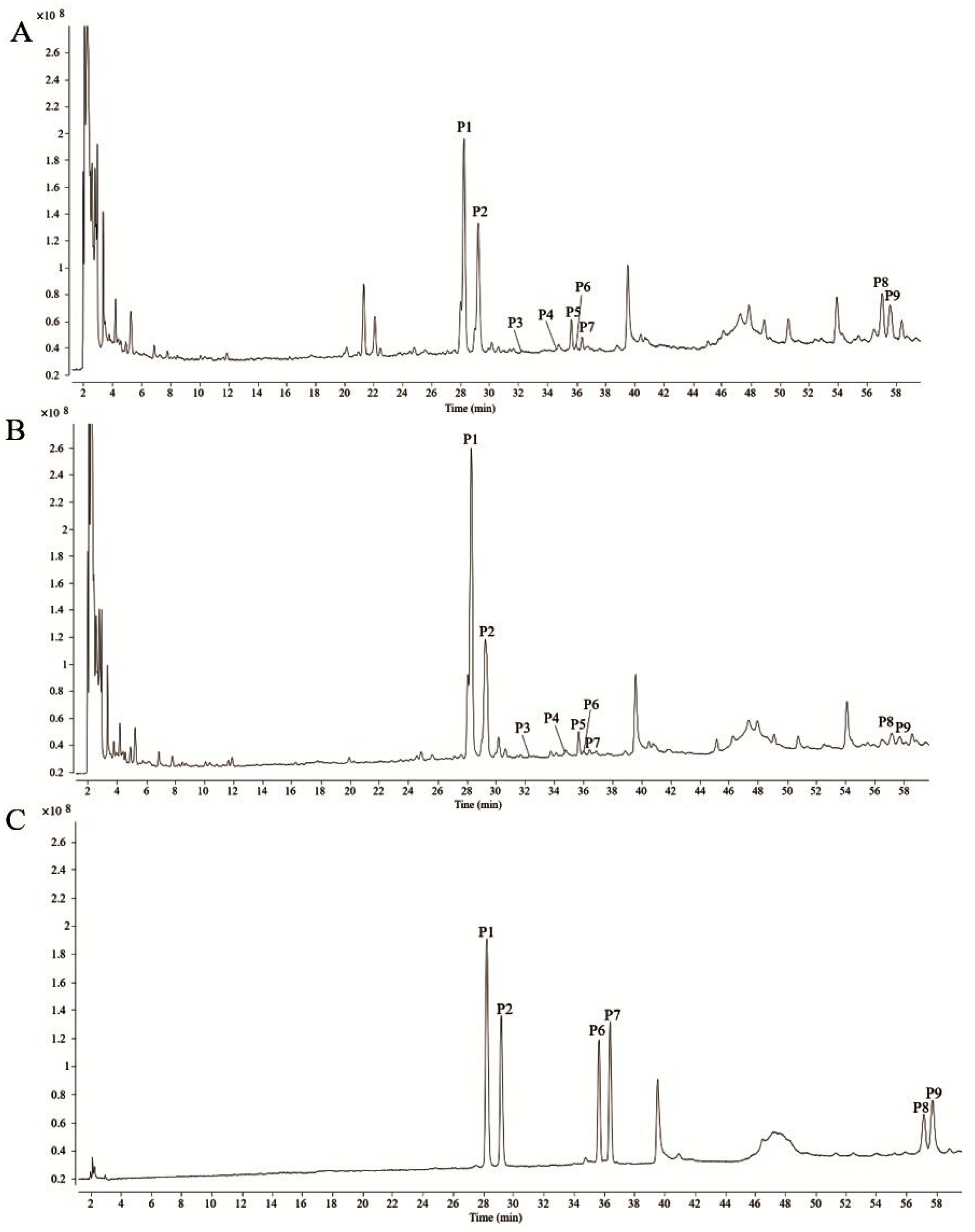 Molecules 28 08116 g002