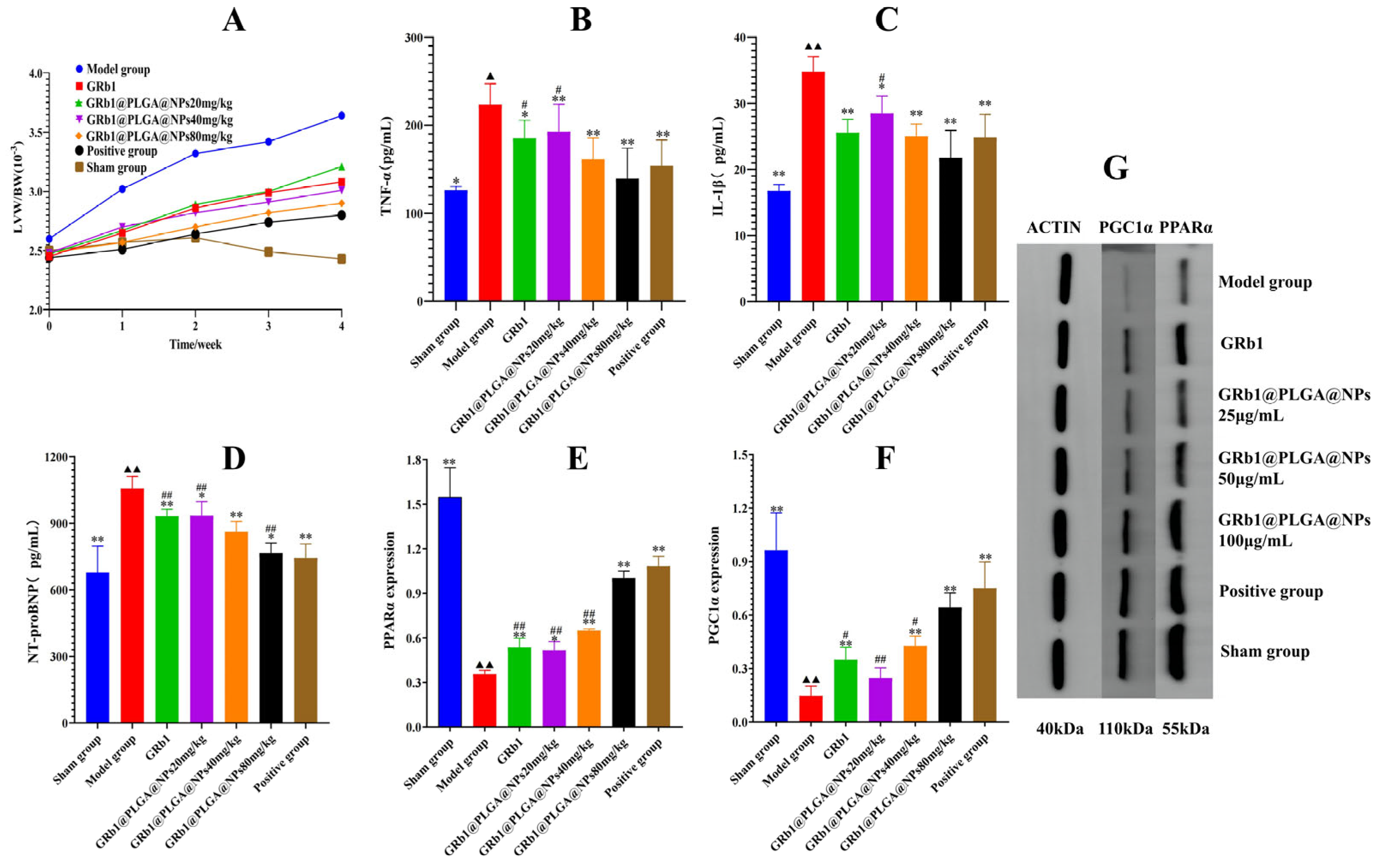 Molecules 28 08118 g006