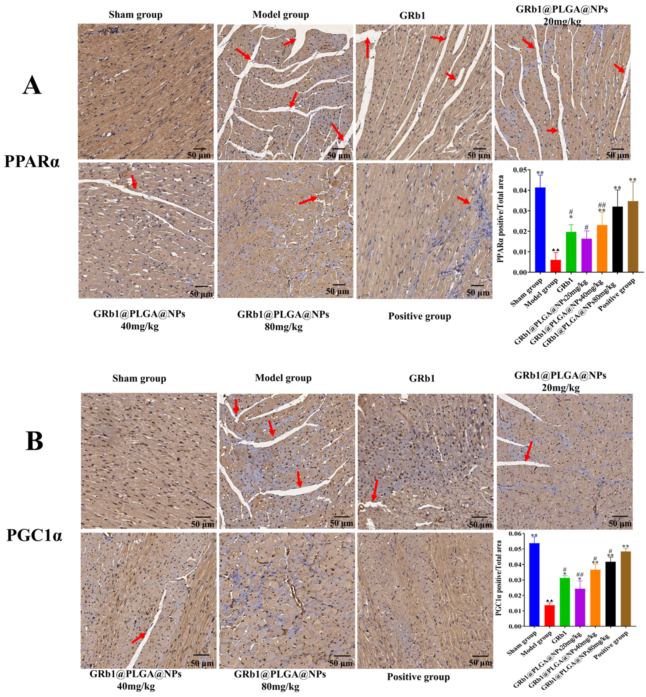 Molecules 28 08118 g008