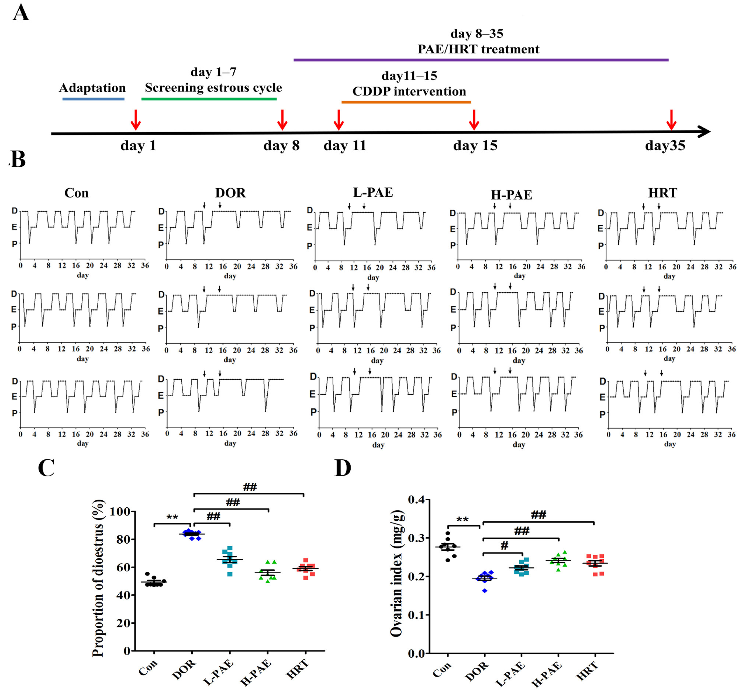 Molecules 28 08123 g001