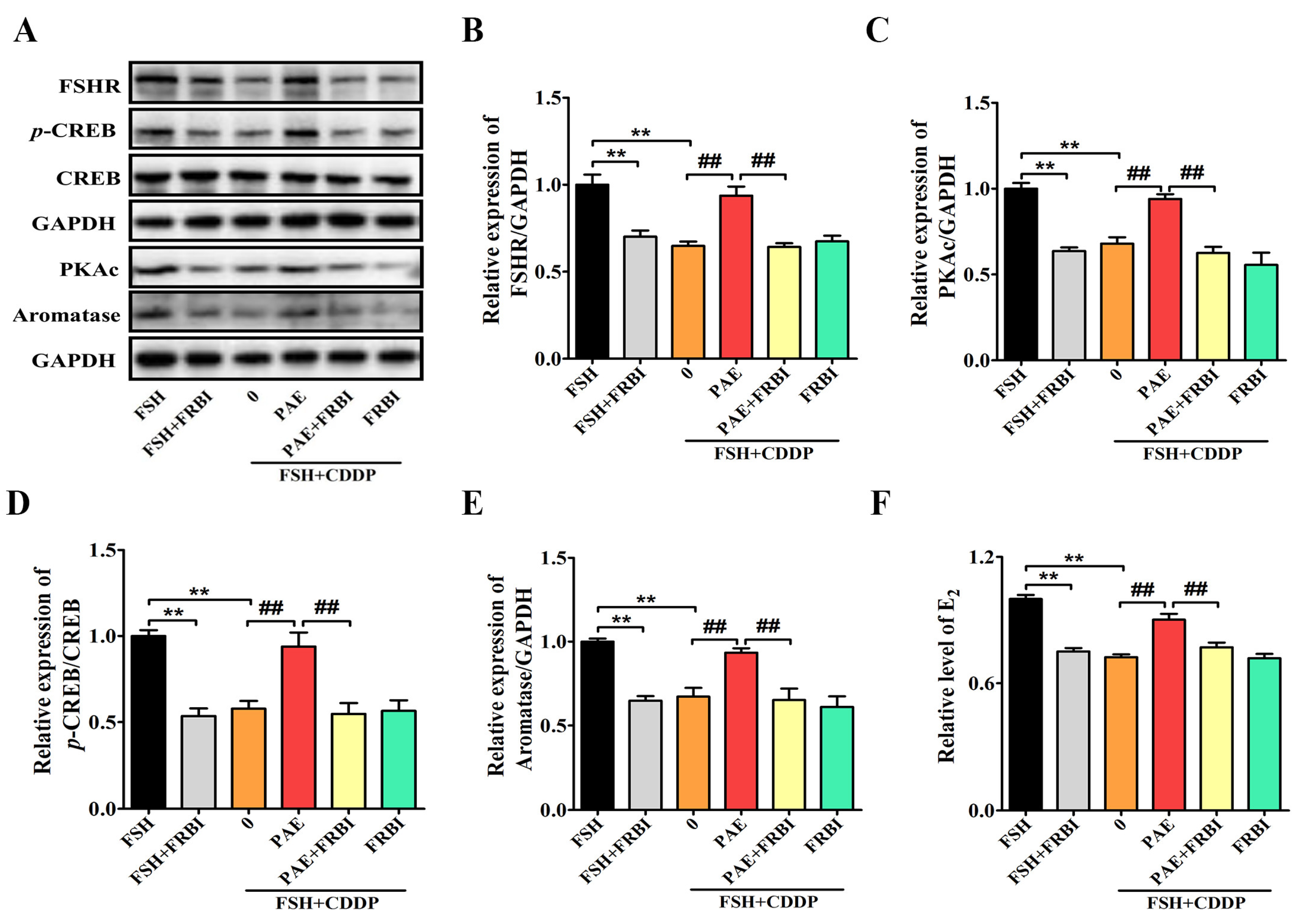 Molecules 28 08123 g008