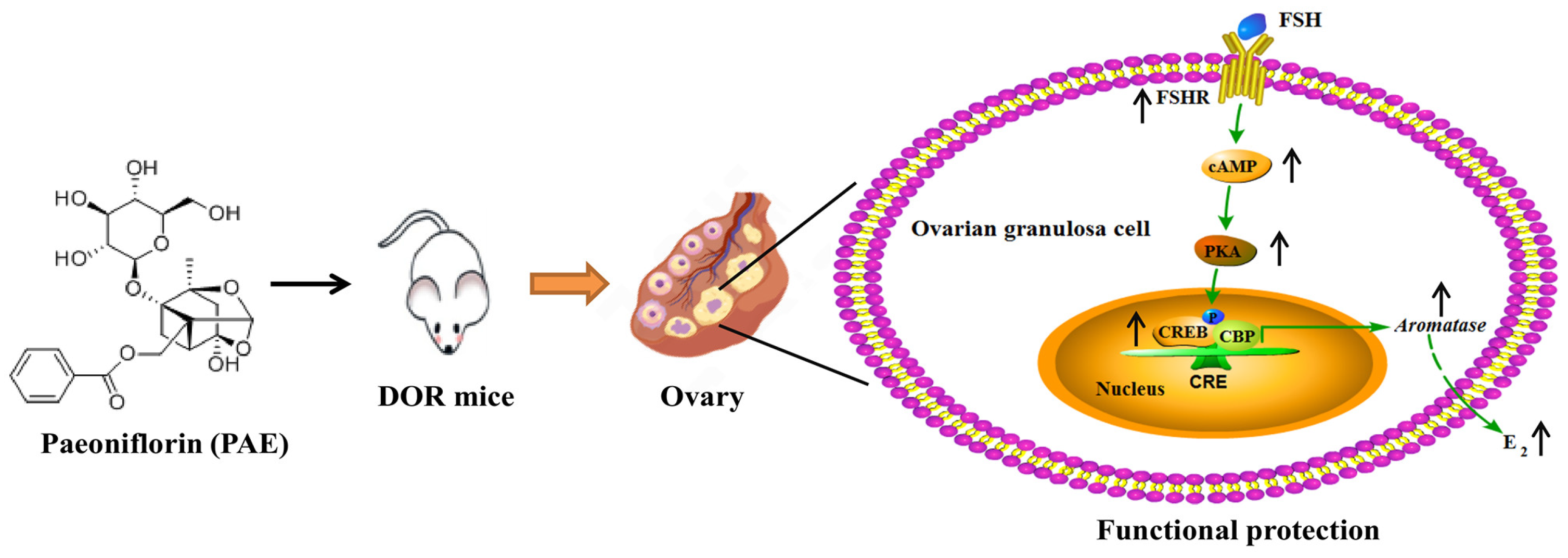 Molecules 28 08123 g009