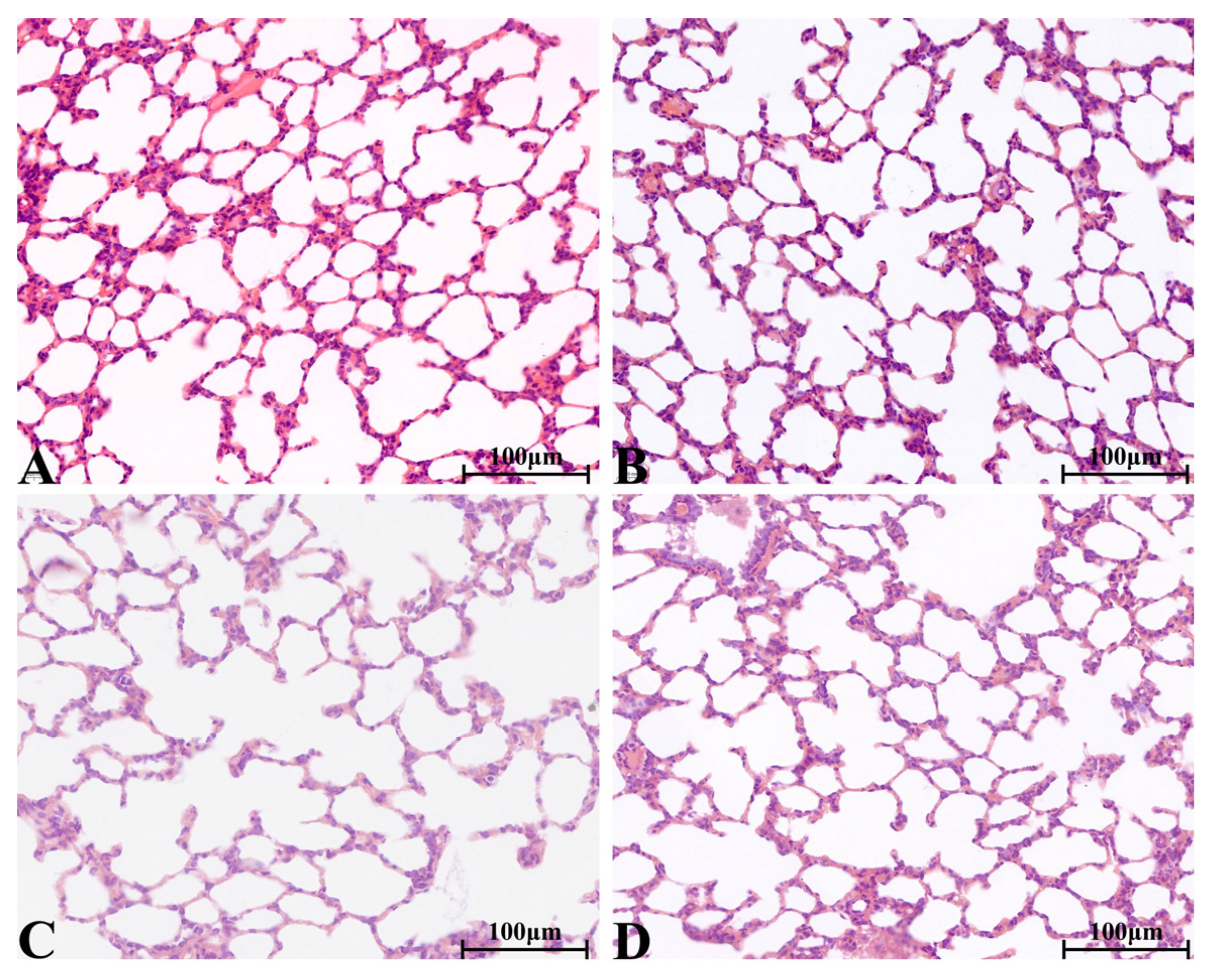 Molecules 28 08124 g005