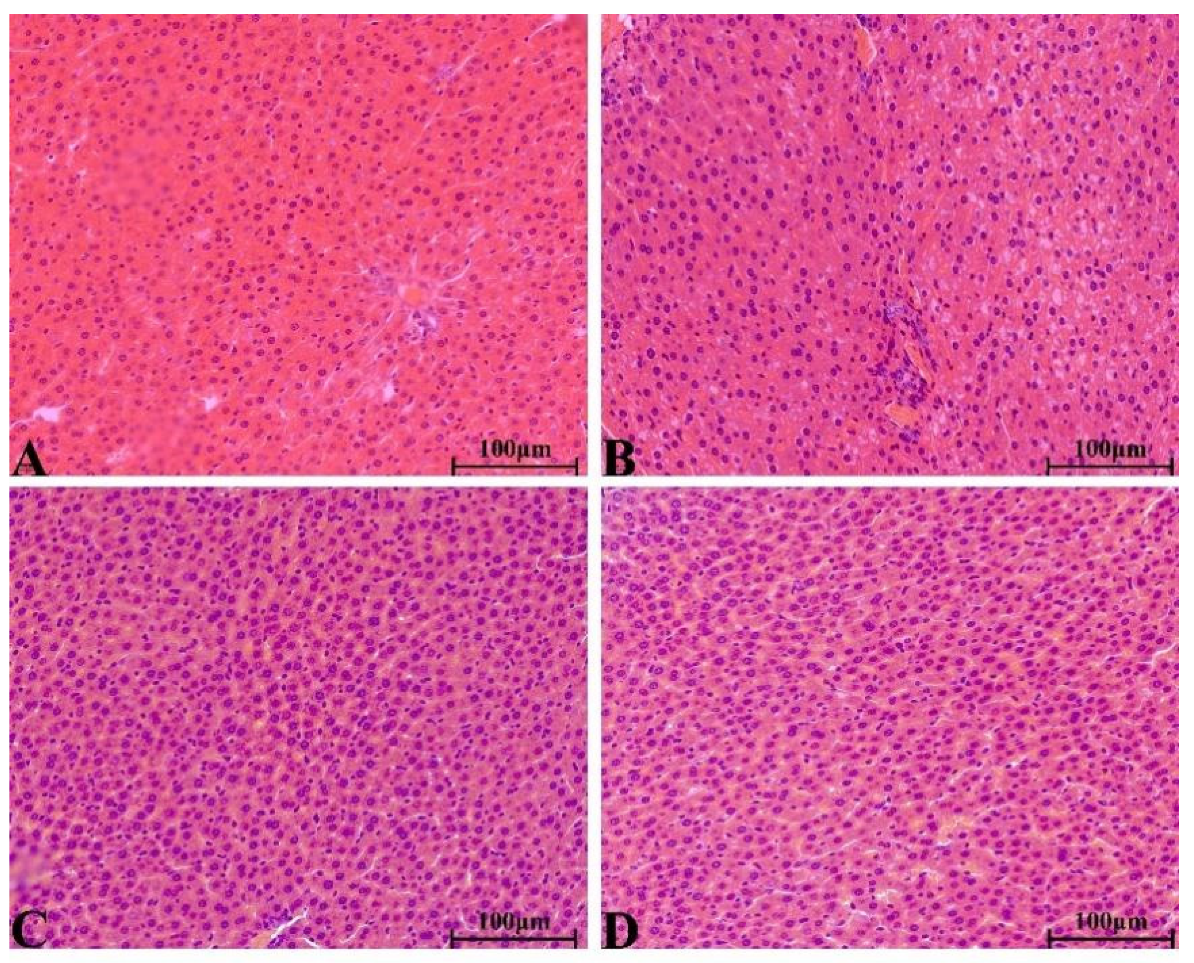 Molecules 28 08124 g006