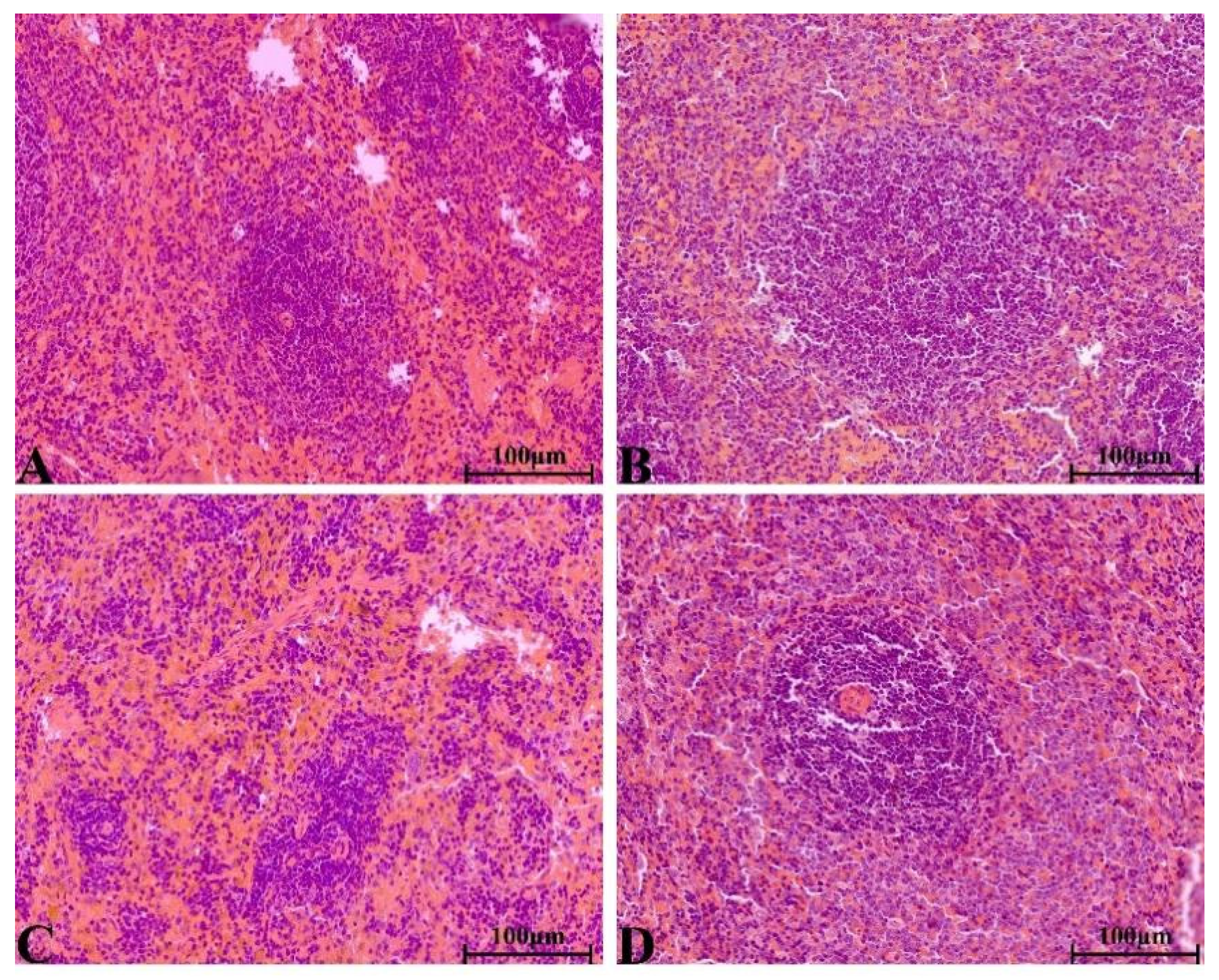 Molecules 28 08124 g007