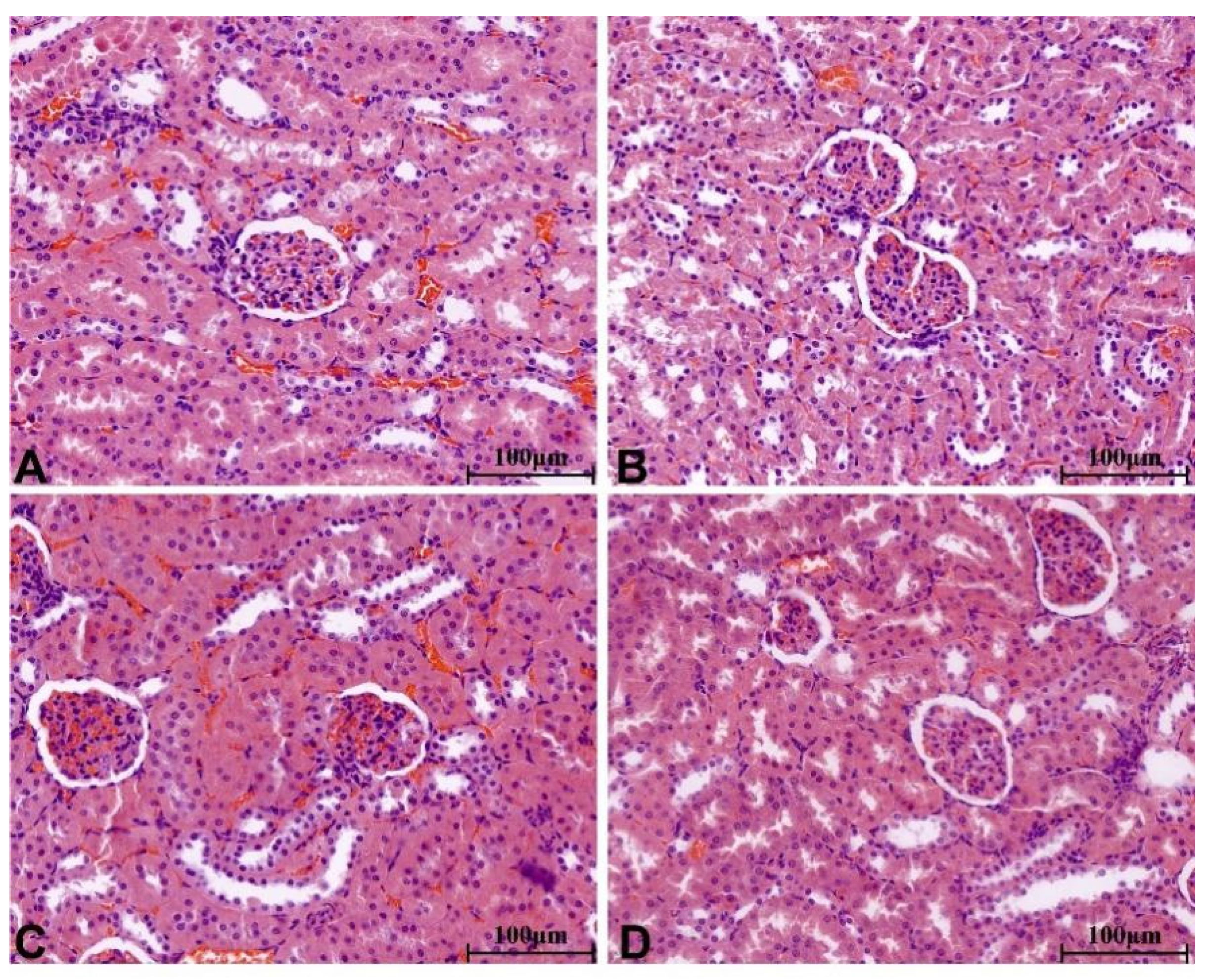 Molecules 28 08124 g008