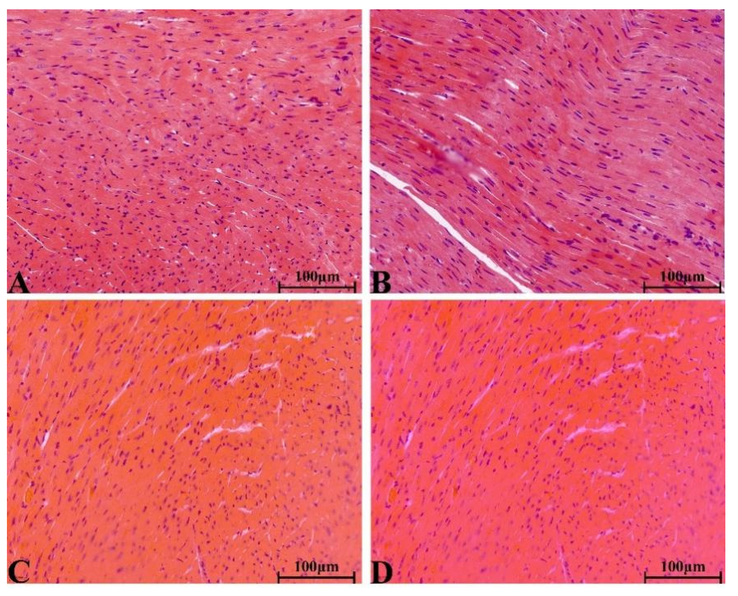 Molecules 28 08124 g009