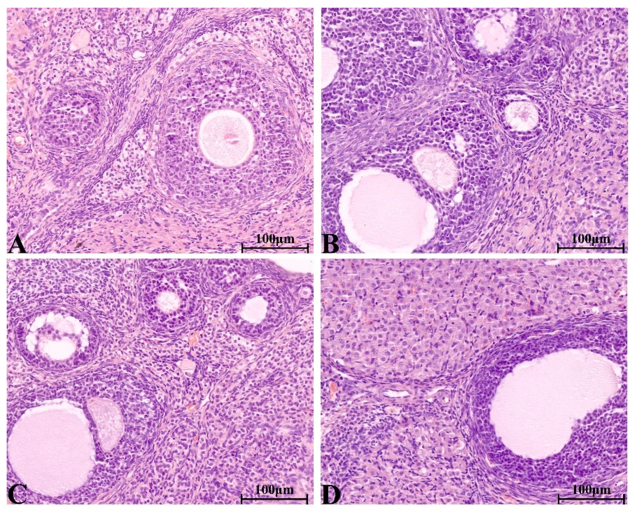 Molecules 28 08124 g010