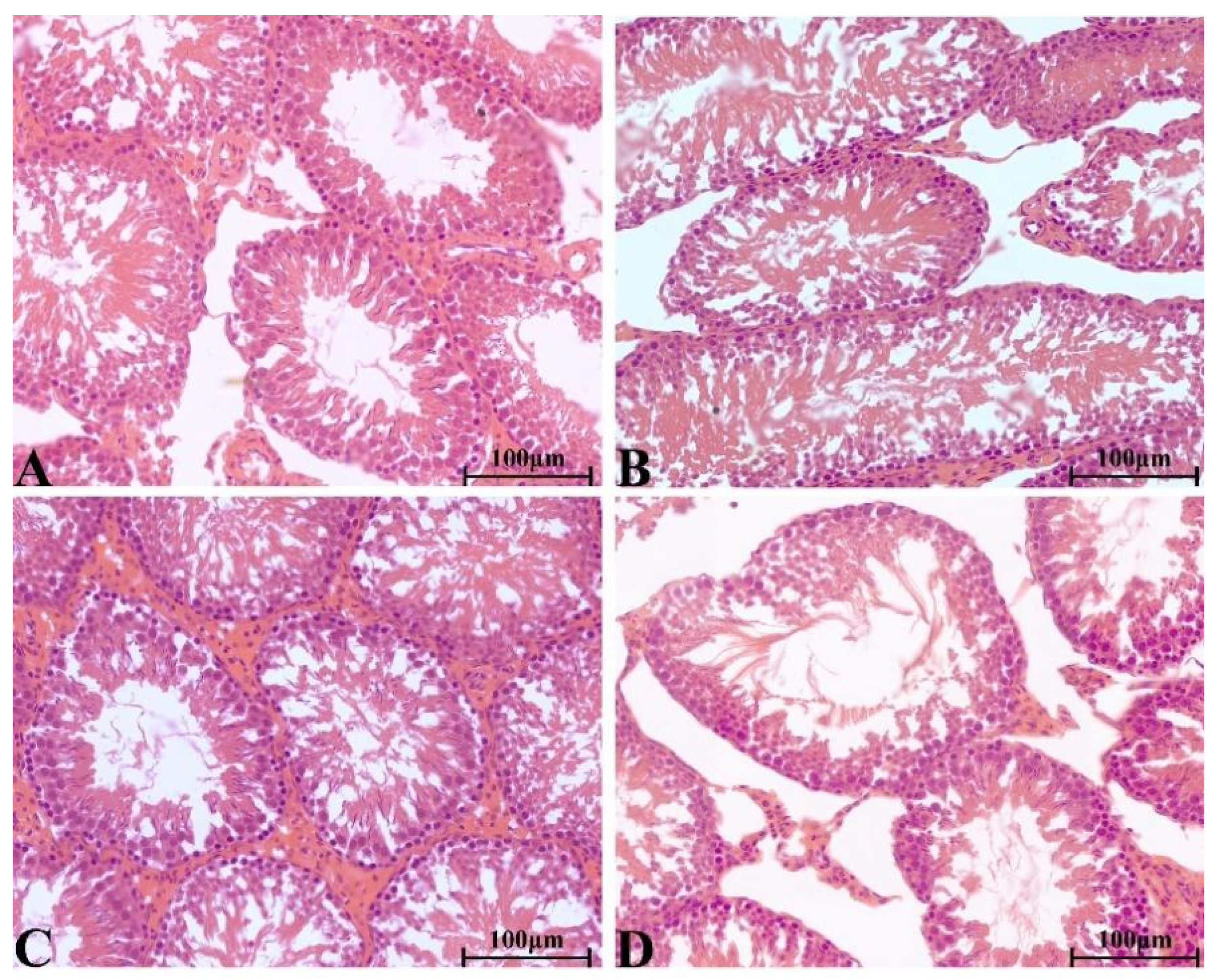 Molecules 28 08124 g011
