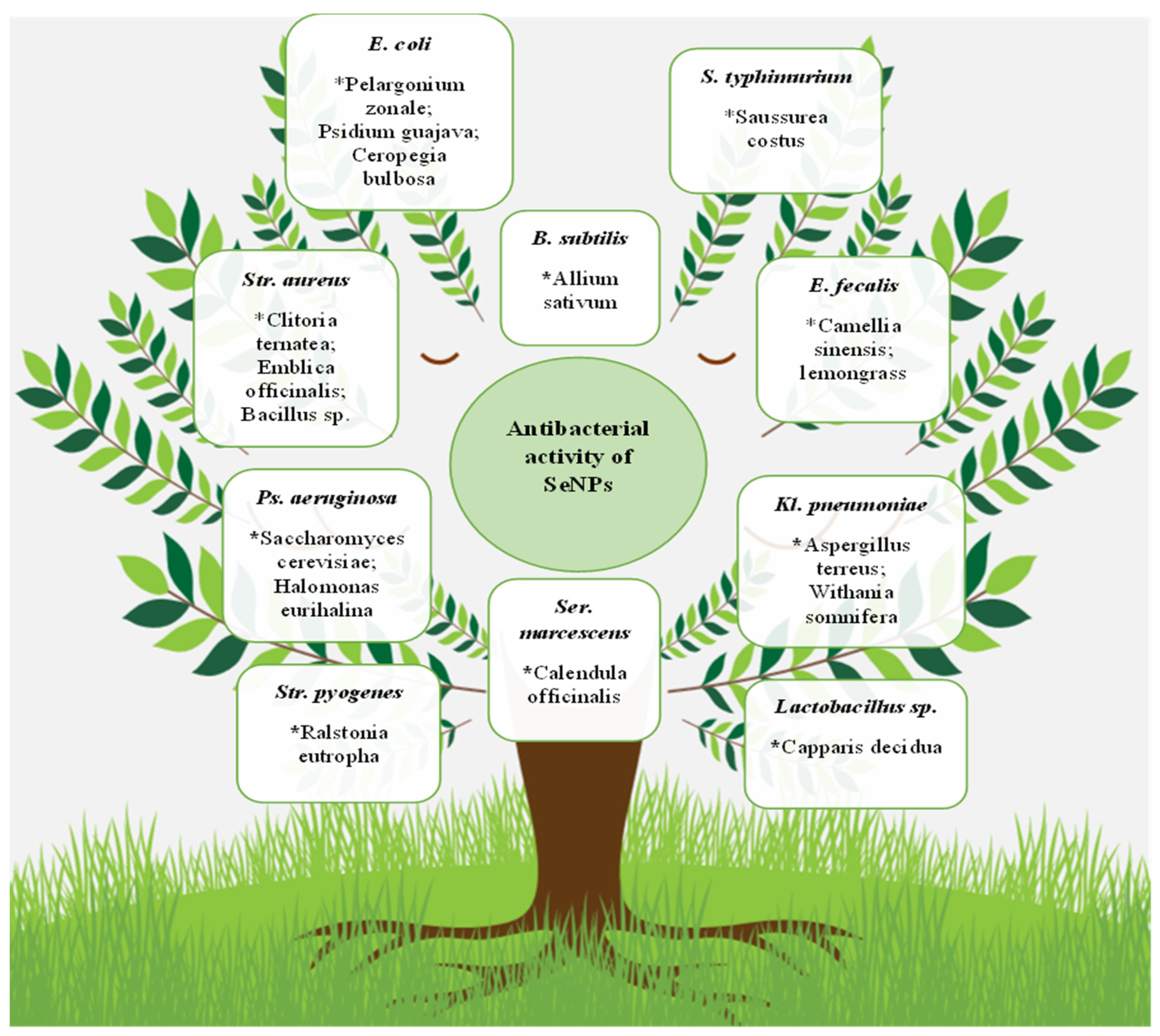 Molecules 28 08125 g003