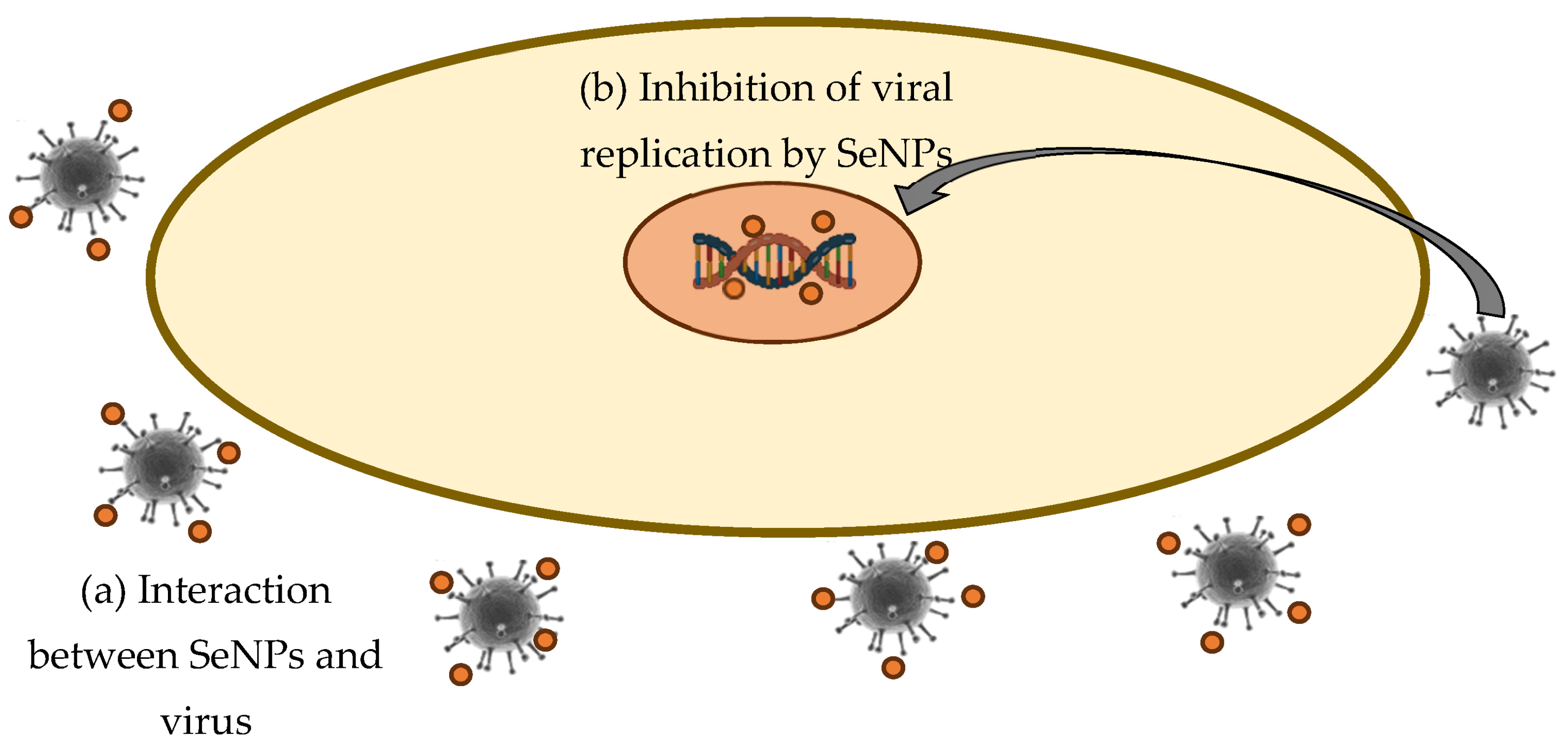 Molecules 28 08125 g004