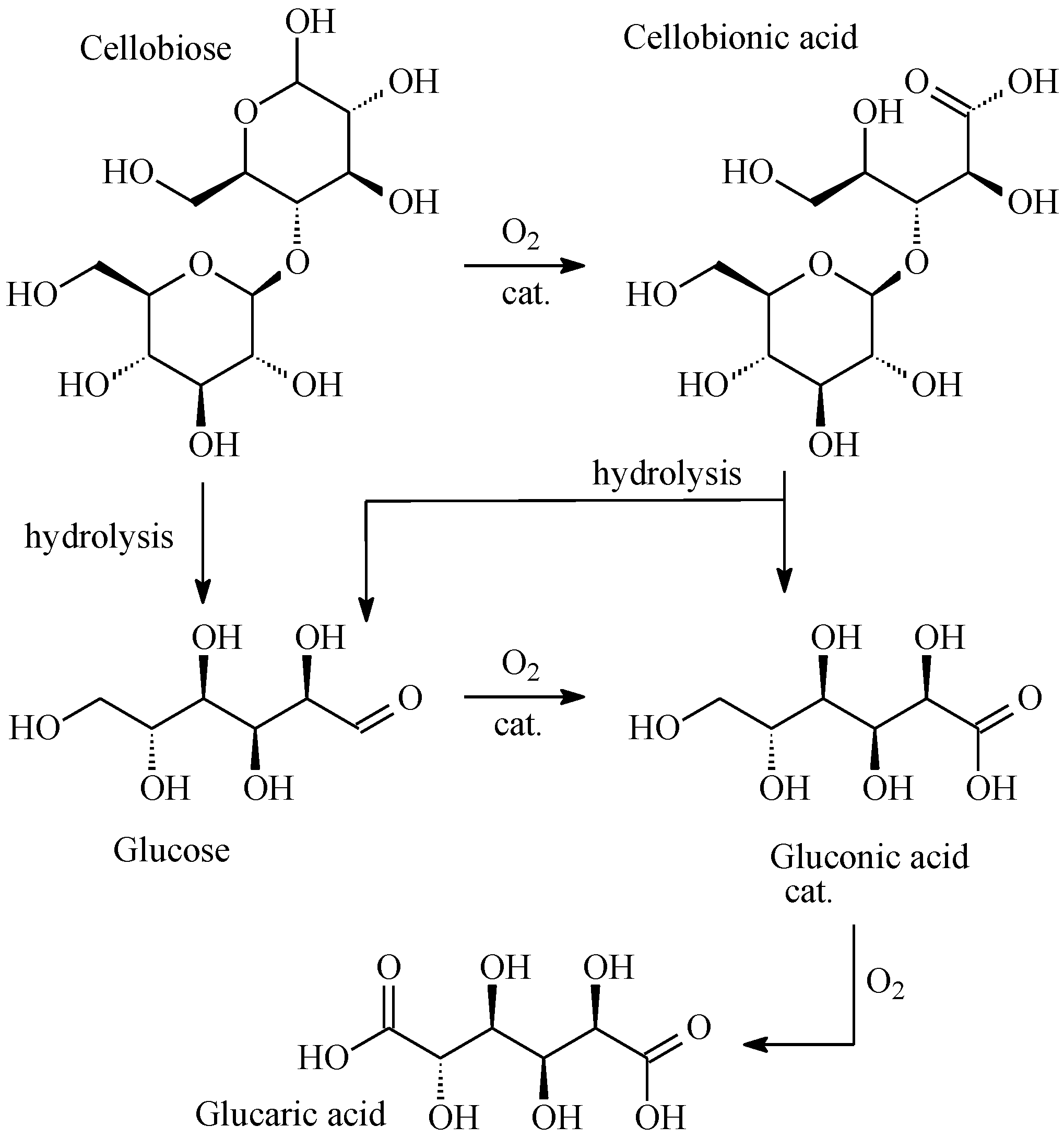 Molecules 28 08126 g008