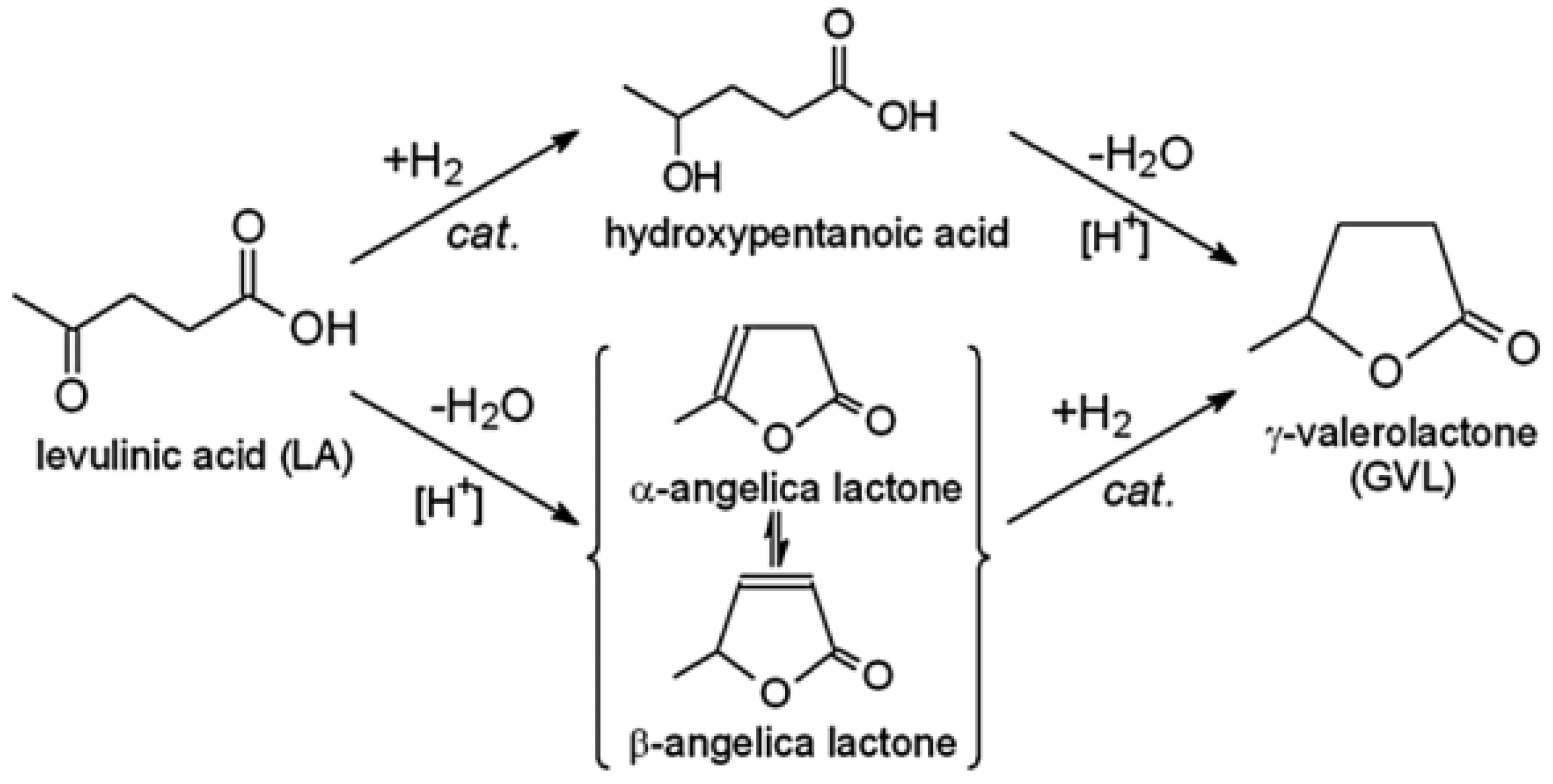 Molecules 28 08126 g014