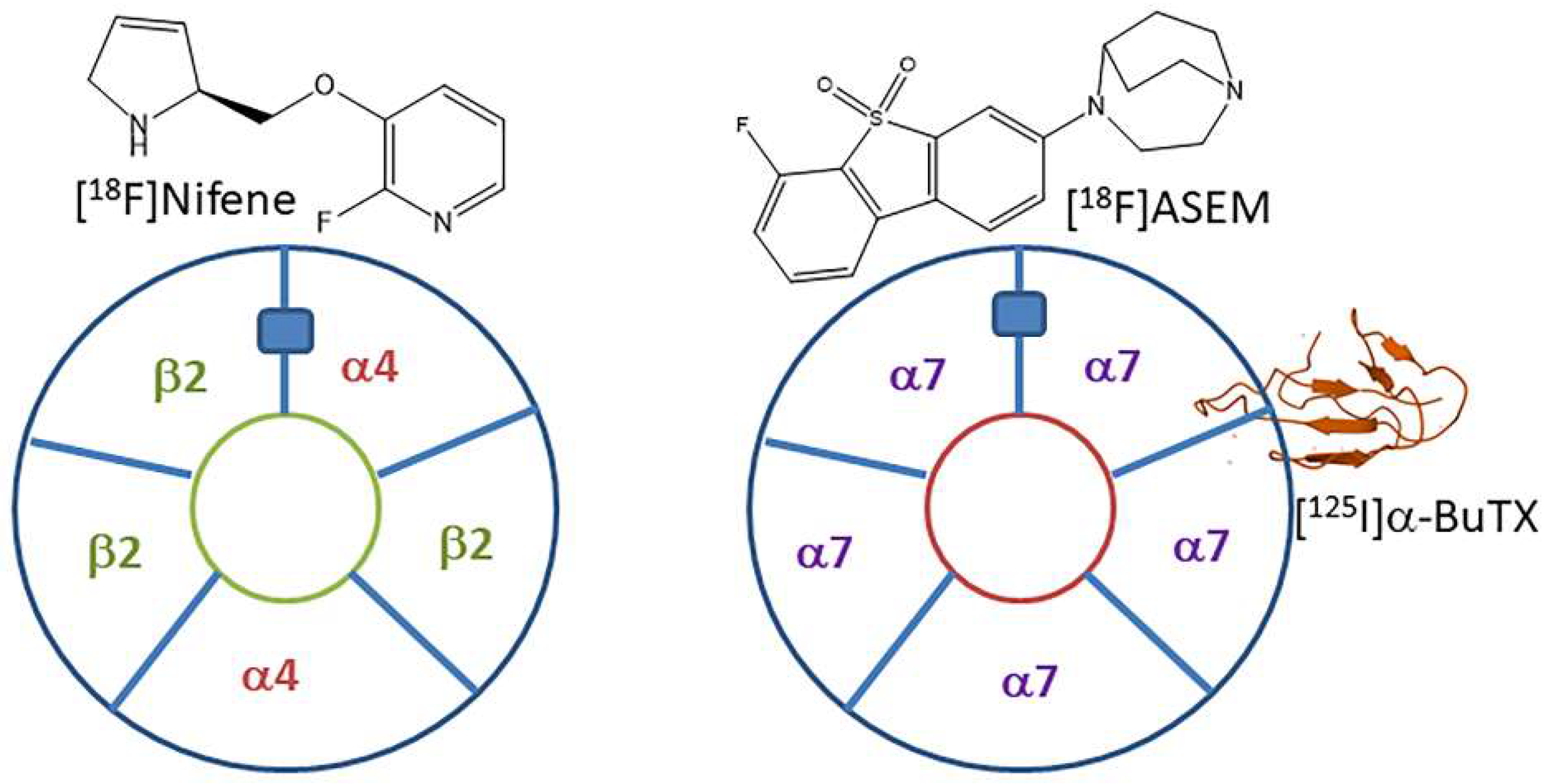 Molecules 28 08128 g001 Molecules 28 08128 g001