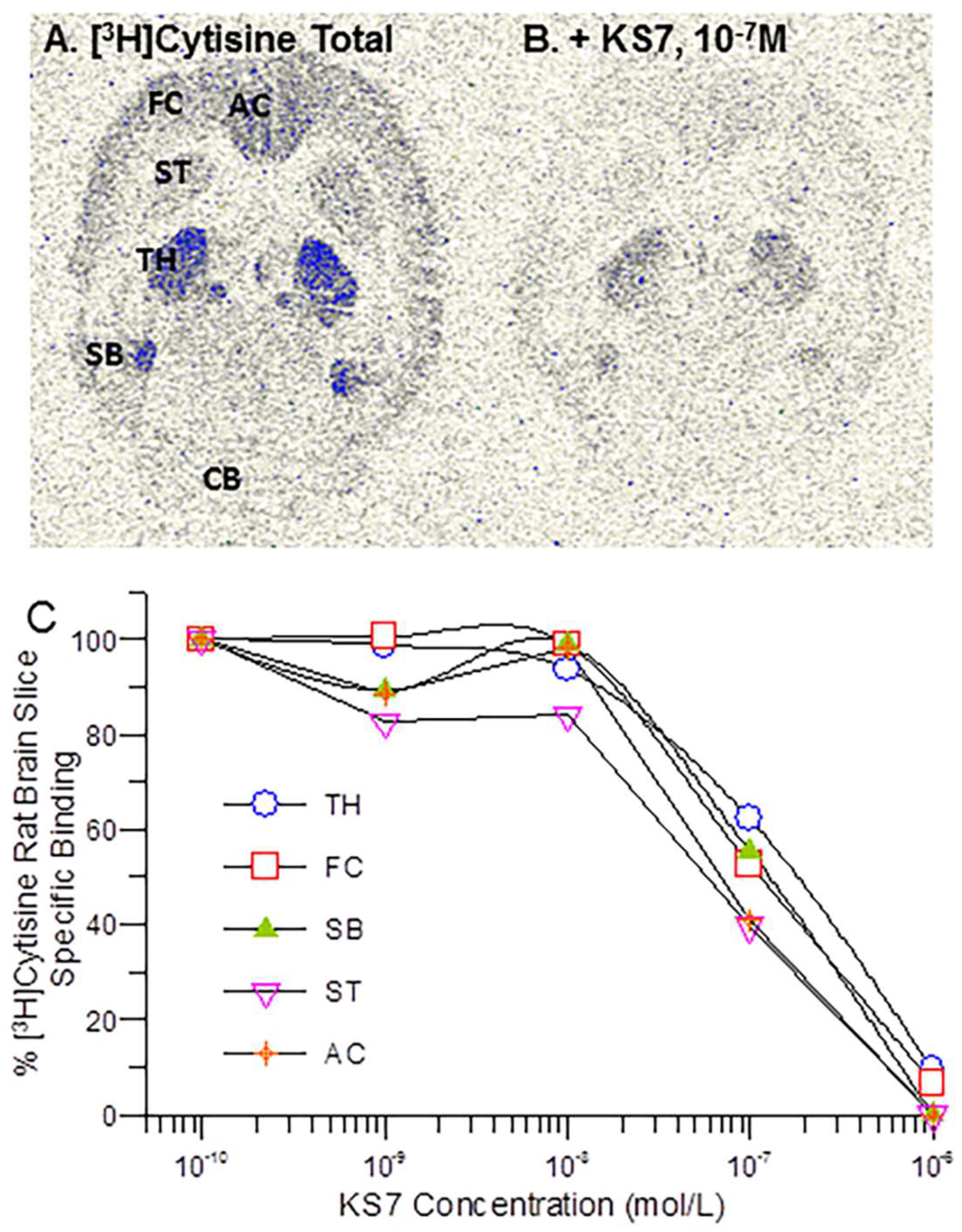 Molecules 28 08128 g006 Molecules 28 08128 g006