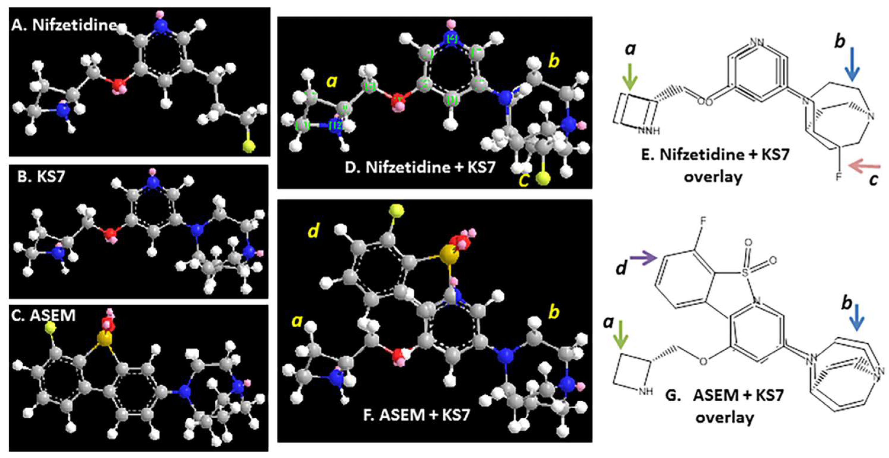 Molecules 28 08128 g008 Molecules 28 08128 g008