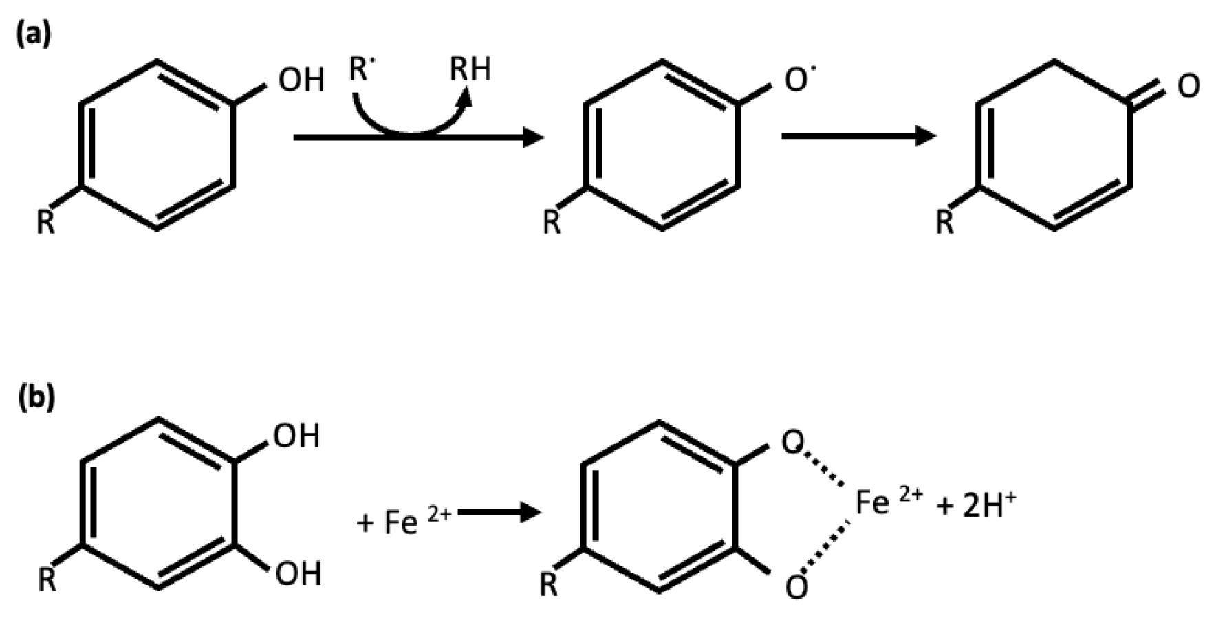 Molecules 28 08133 g001 Molecules 28 08133 g001
