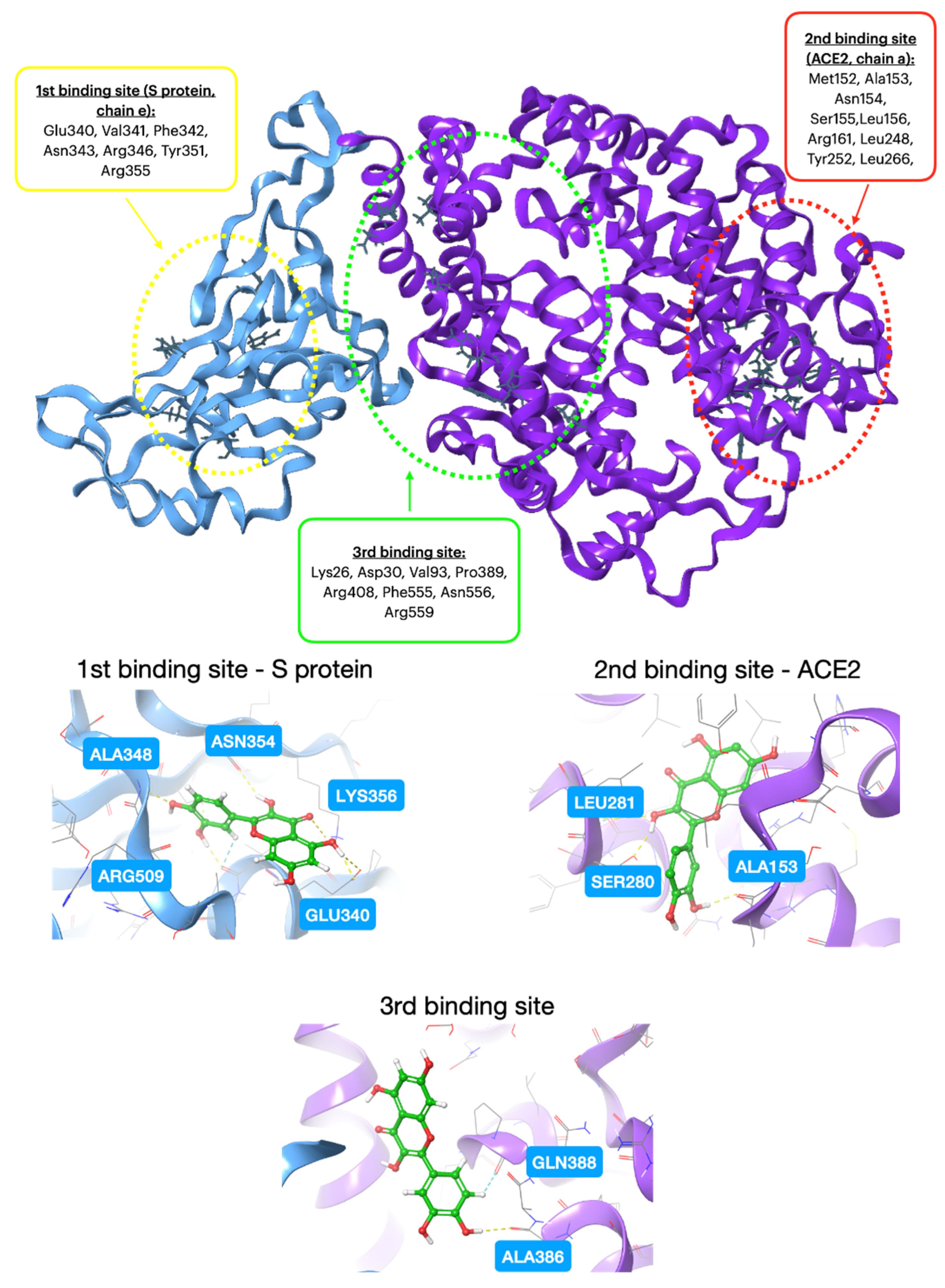 Molecules 28 08141 sch002