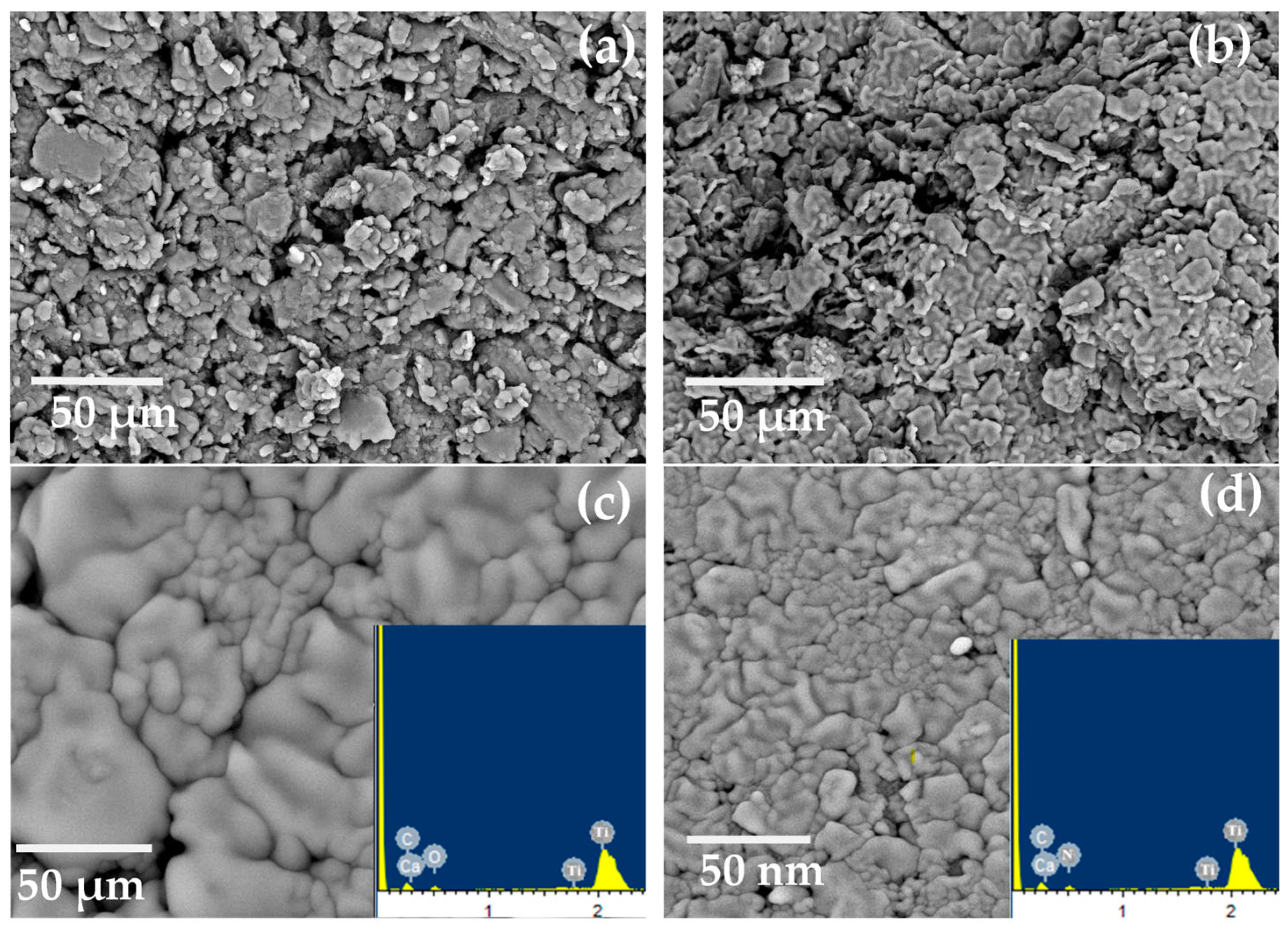 Molecules 28 08149 g005